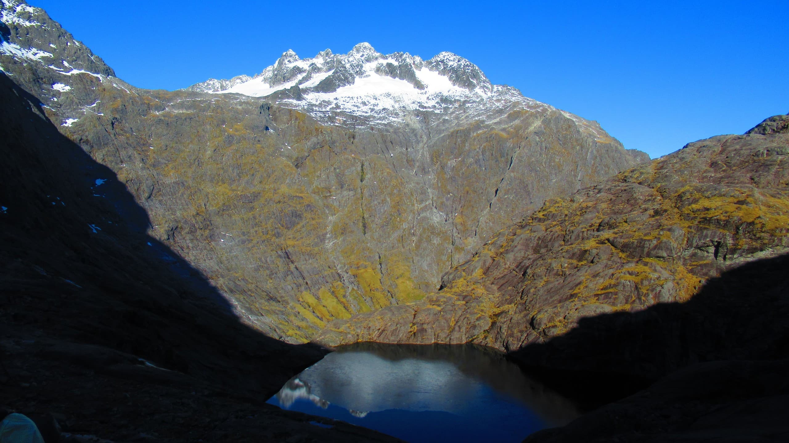 Above Milford Sound: Gertrude Saddle Alpine Trek in Fiordland photo 4