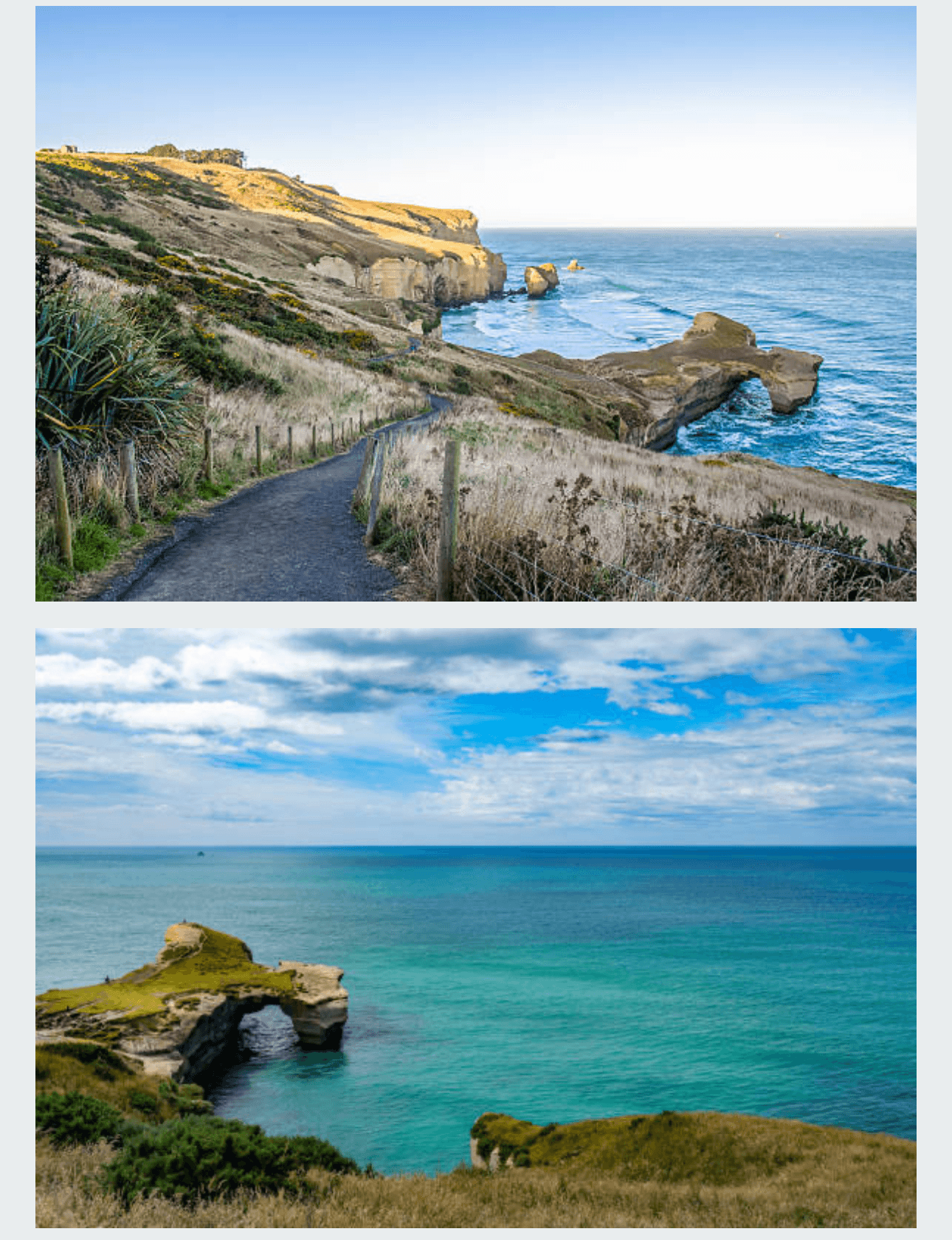 Private Day Tour to Dunedin: Victorian Architecture, Coastal Lookouts & Otago Heritage