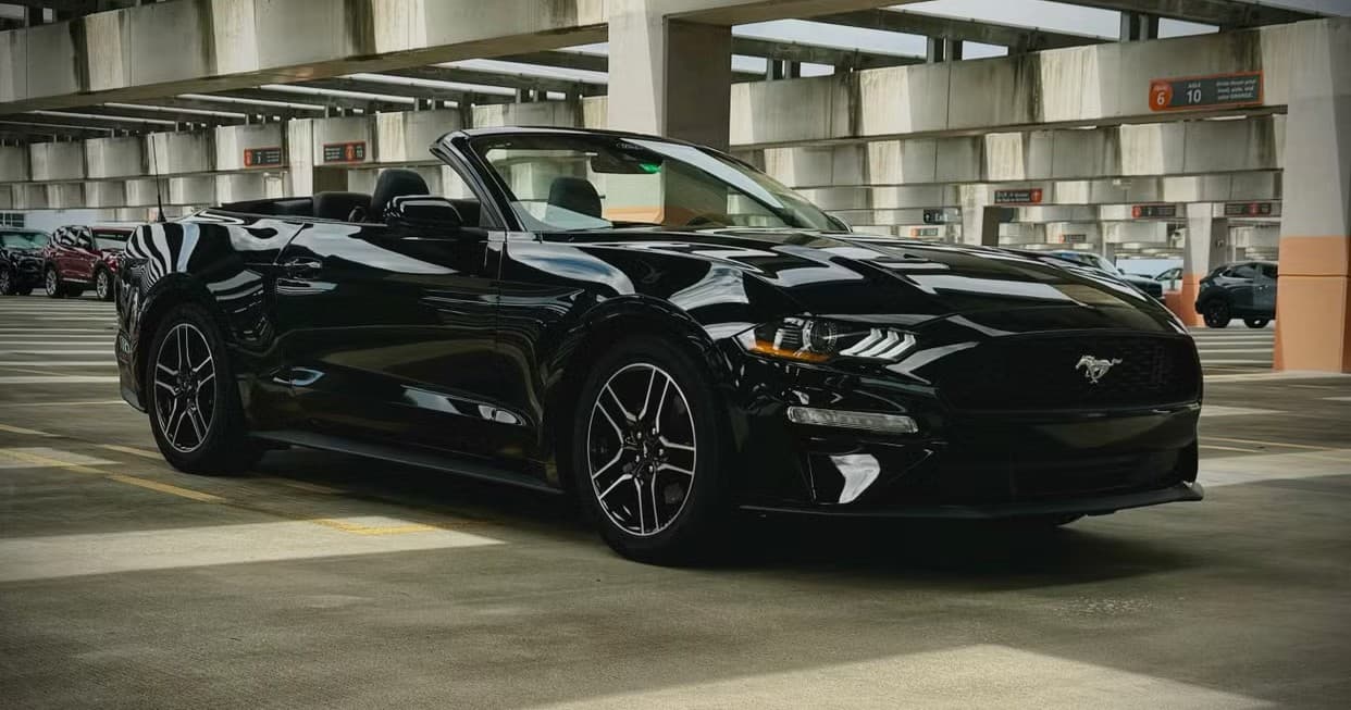 Road Trip with Ford Mustang in Tampa Bay