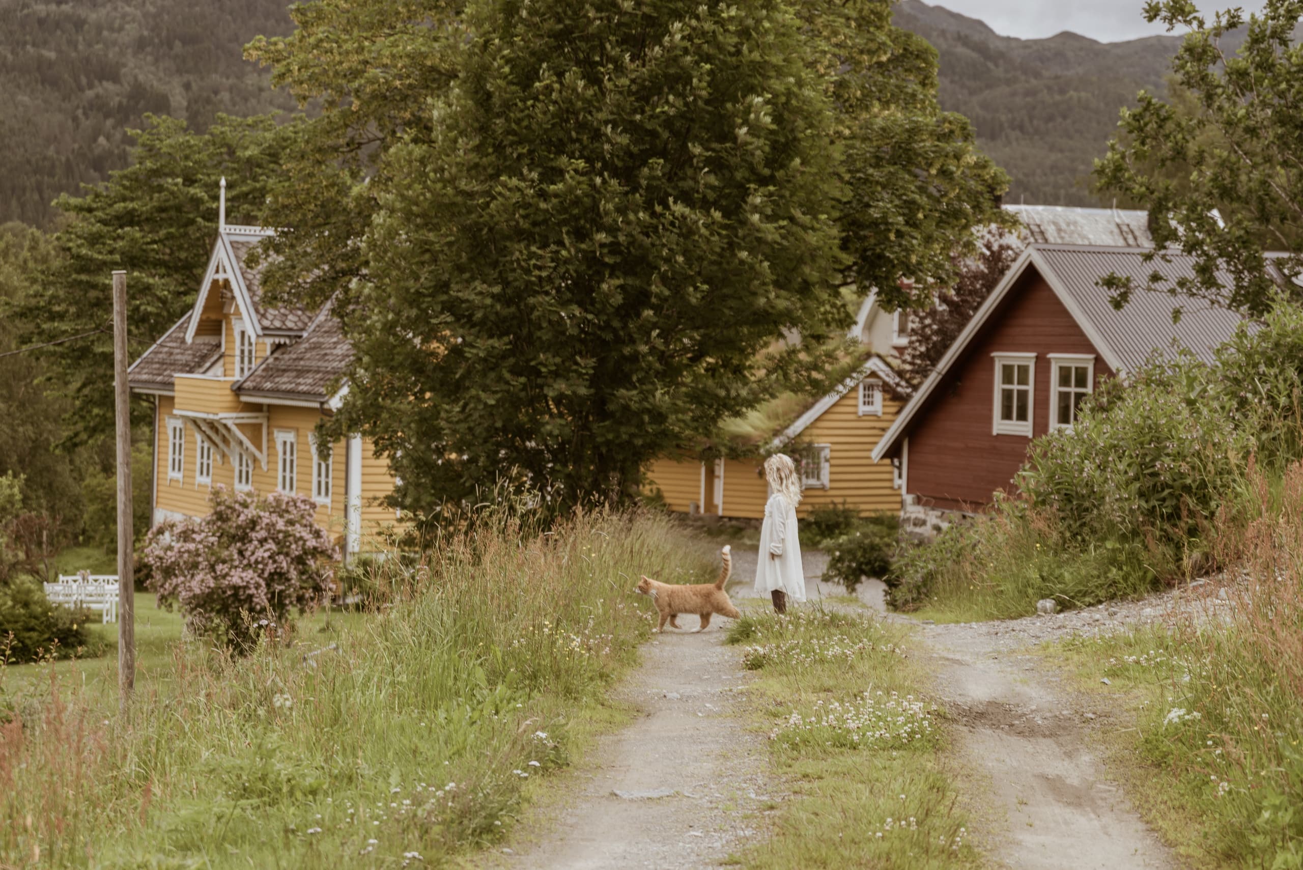 Norwegian Farm Tour with Nordfjord Gardseventyr