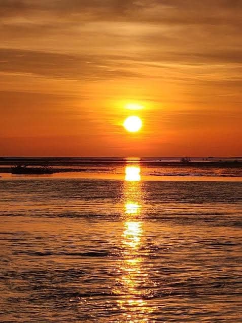 Gulf of Mexico Sunset Tour: Intimate 22-Foot Pontoon Cruise photo 3