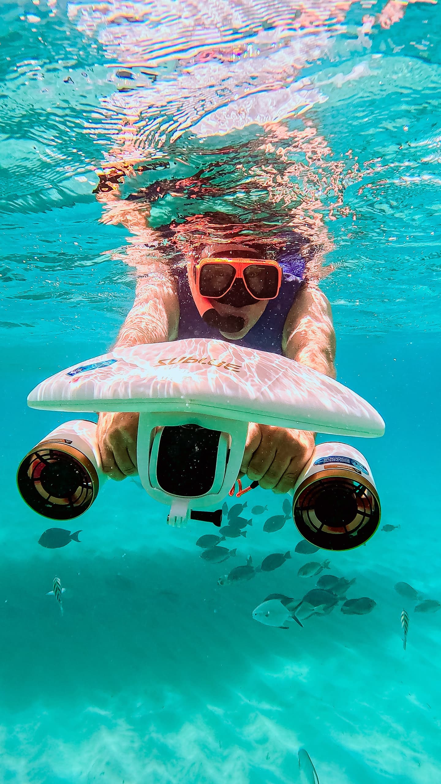 Private Mangel Halto Snorkel Tour from Palm Beach — Underwater Scooters & Mangrove Channels photo 1