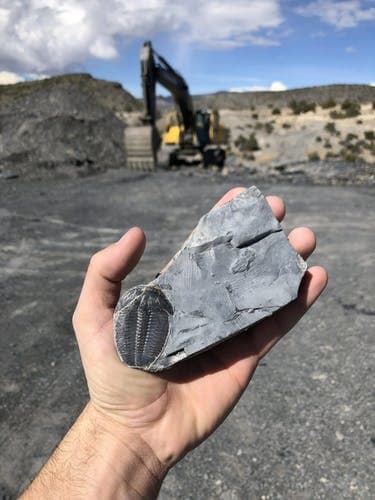 Hand holding trilobite fossil at active quarry with excavator