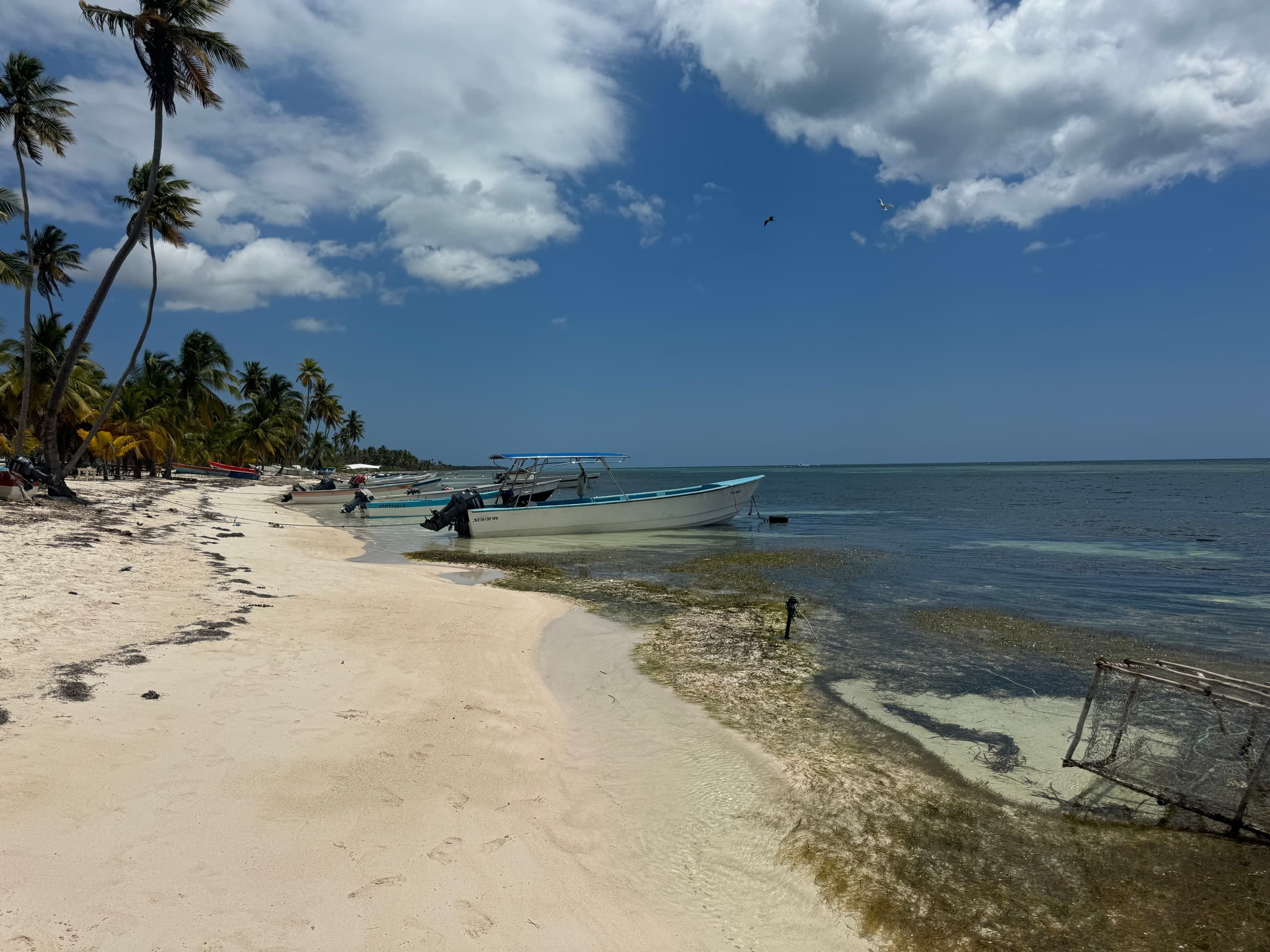 Private Boat Charter from Palmas Del Mar to Culebra, PR