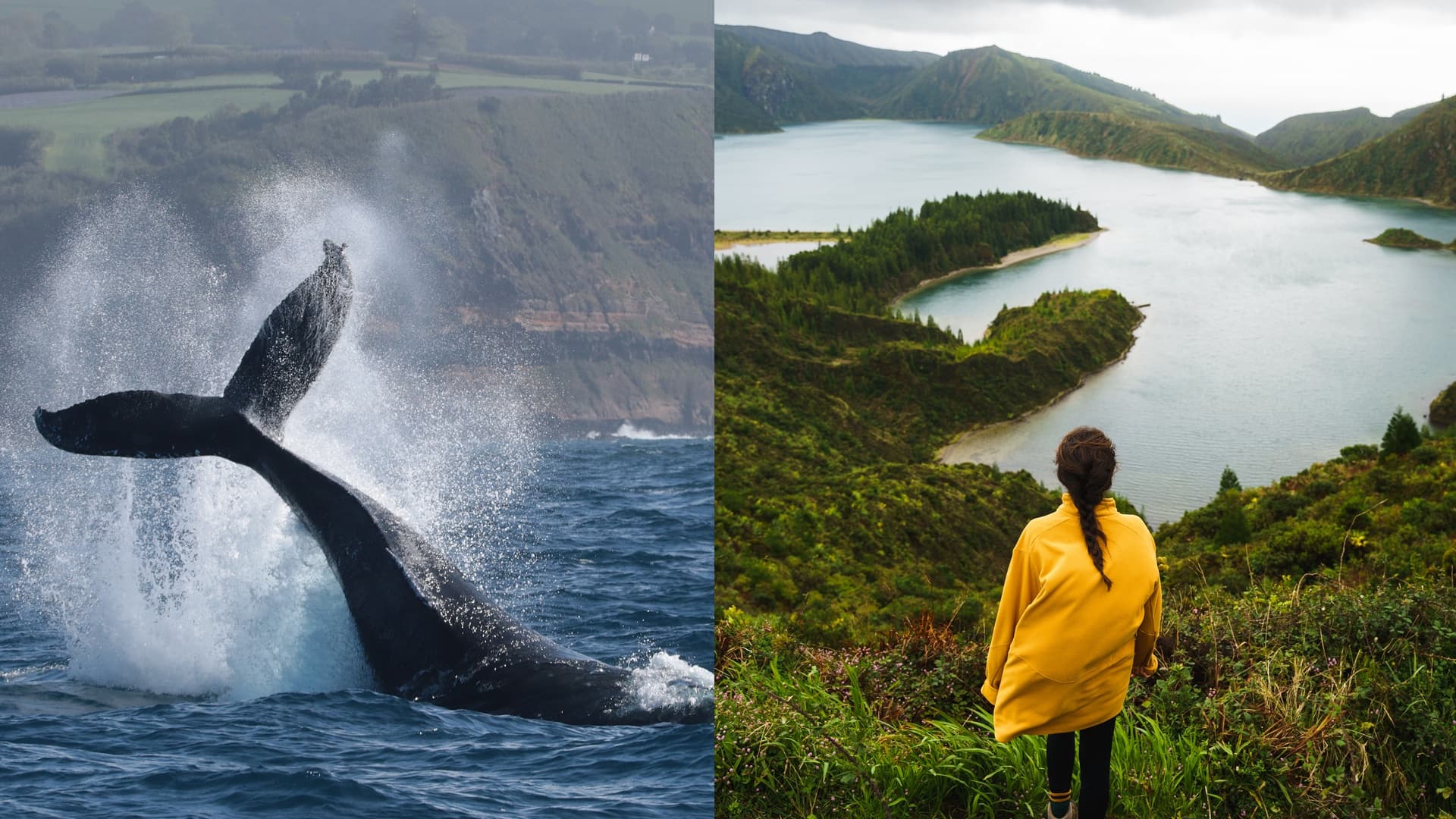 Whale Watching & Jeep Tour in Ponta Delgada with Futurismo Azores