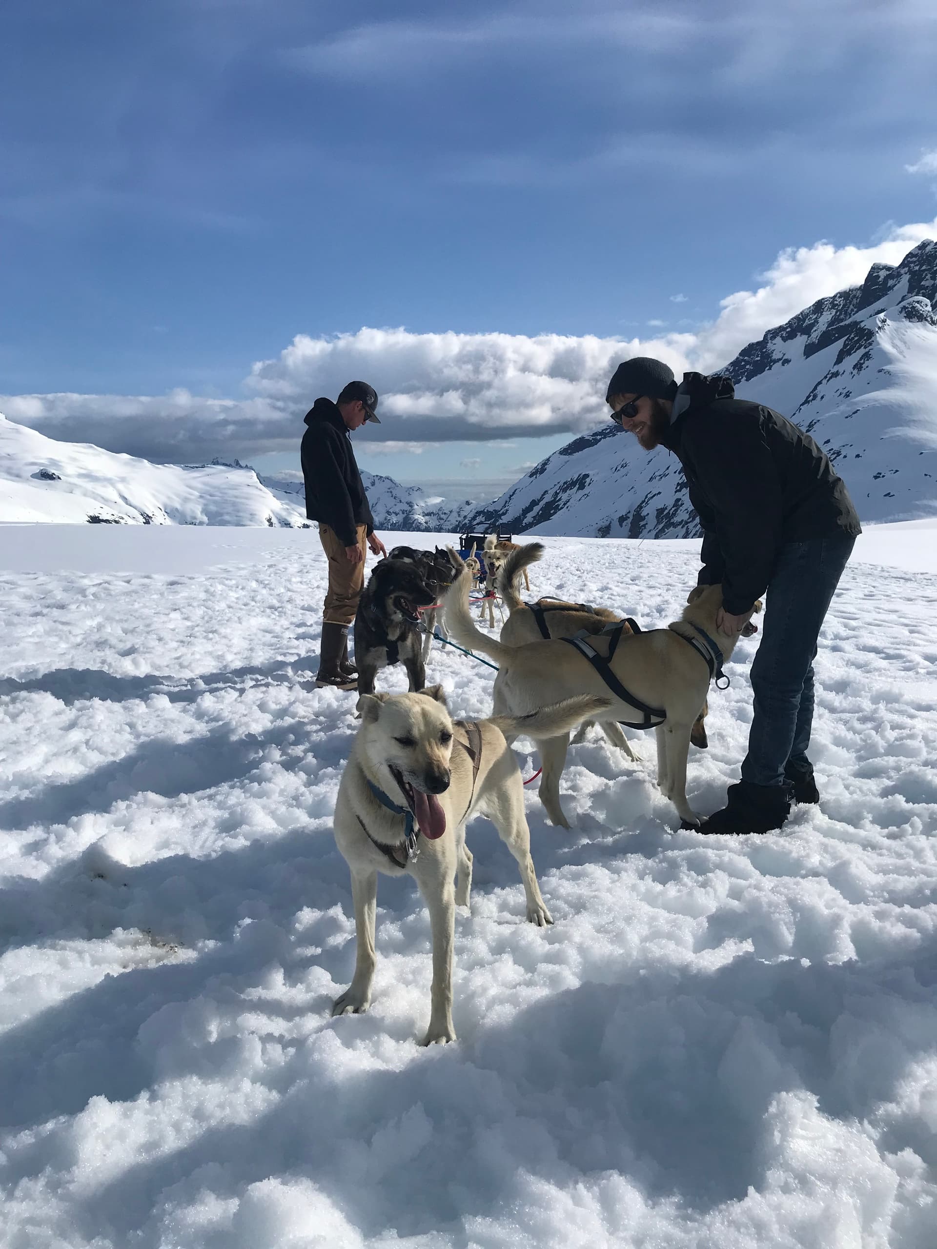 Helicopter Dogsledding on Herbert Glacier: Juneau's Ultimate Summer Glacier Adventure photo 1