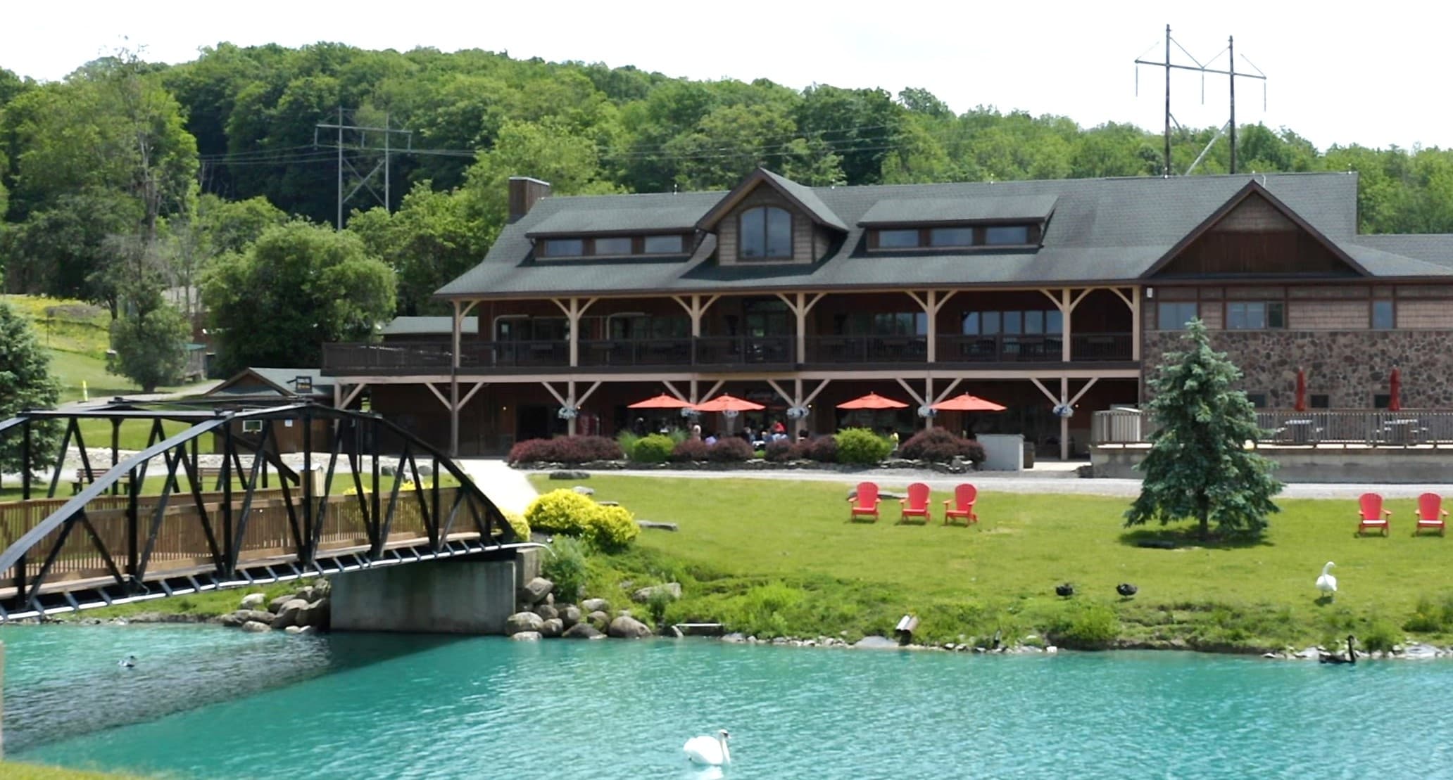 Timber Lodge Comfort at Hidden Valley Animal Adventure