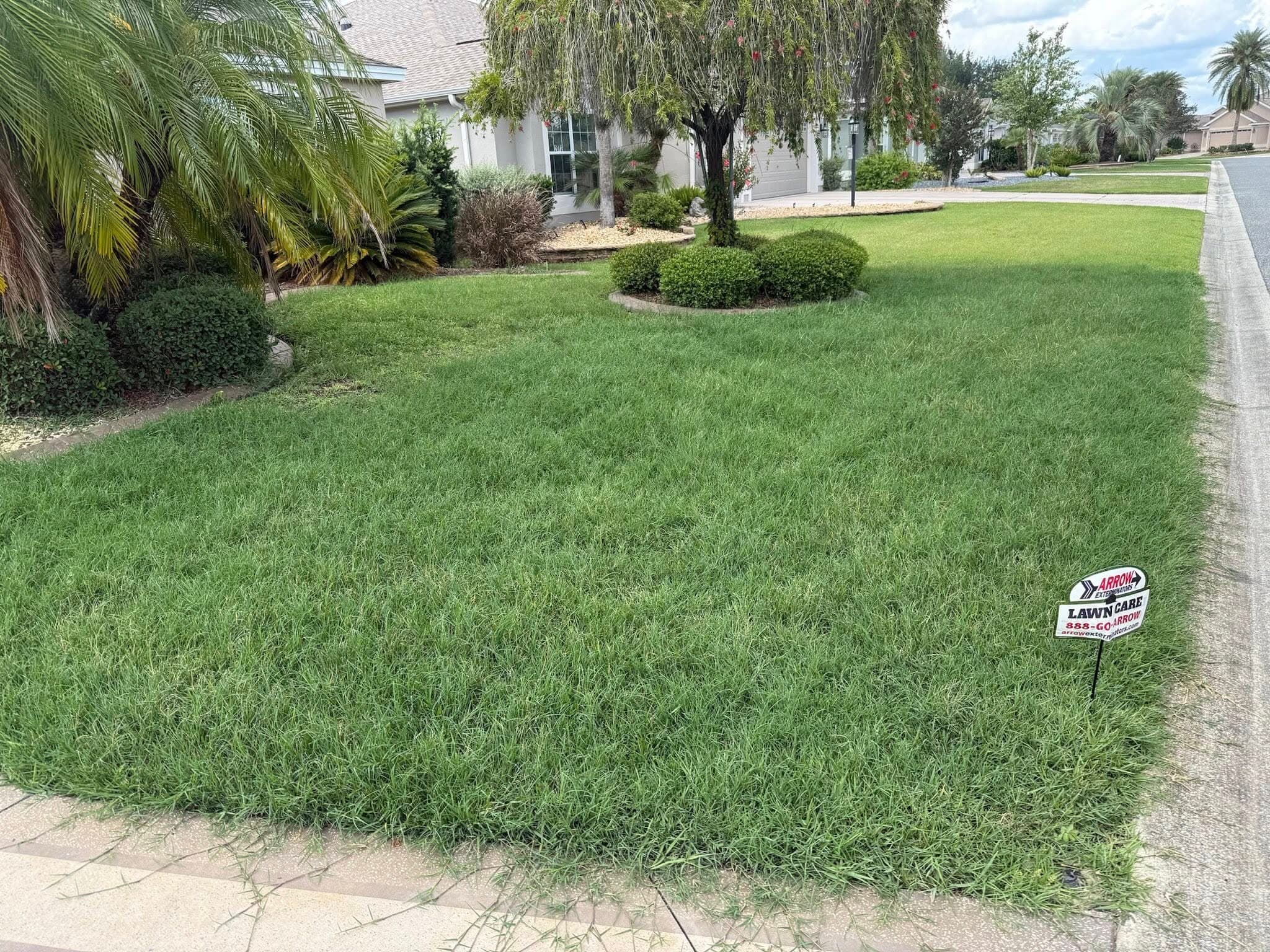 Lawn Care with Adam's Earth - Topdressing in The Villages