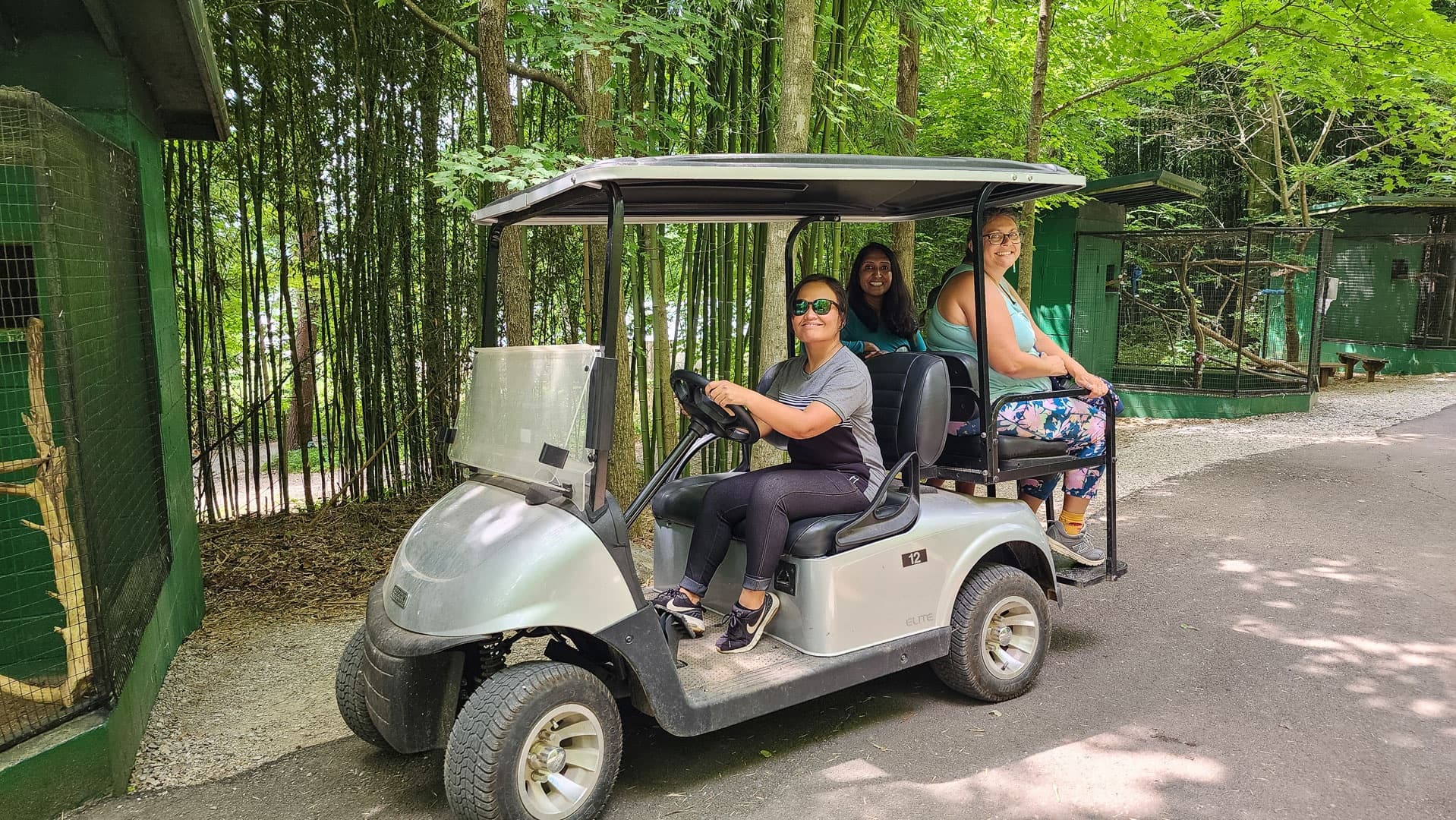 Kentucky Cave Adventures with Just IN Time from Nashville
