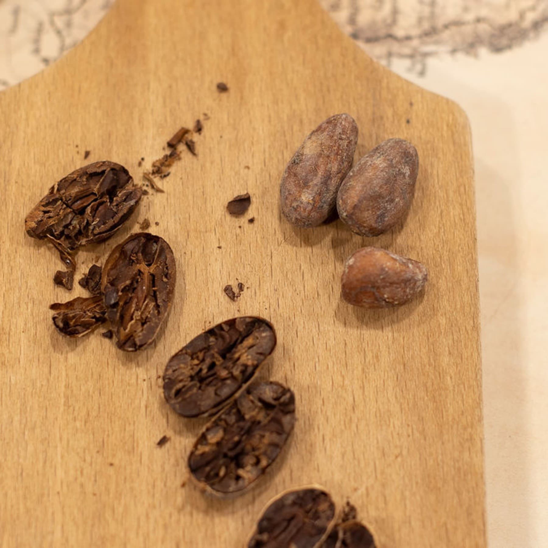 Bean-to-Bar Workshop at York Cocoa Works: Make Your Own Chocolate in York photo 1