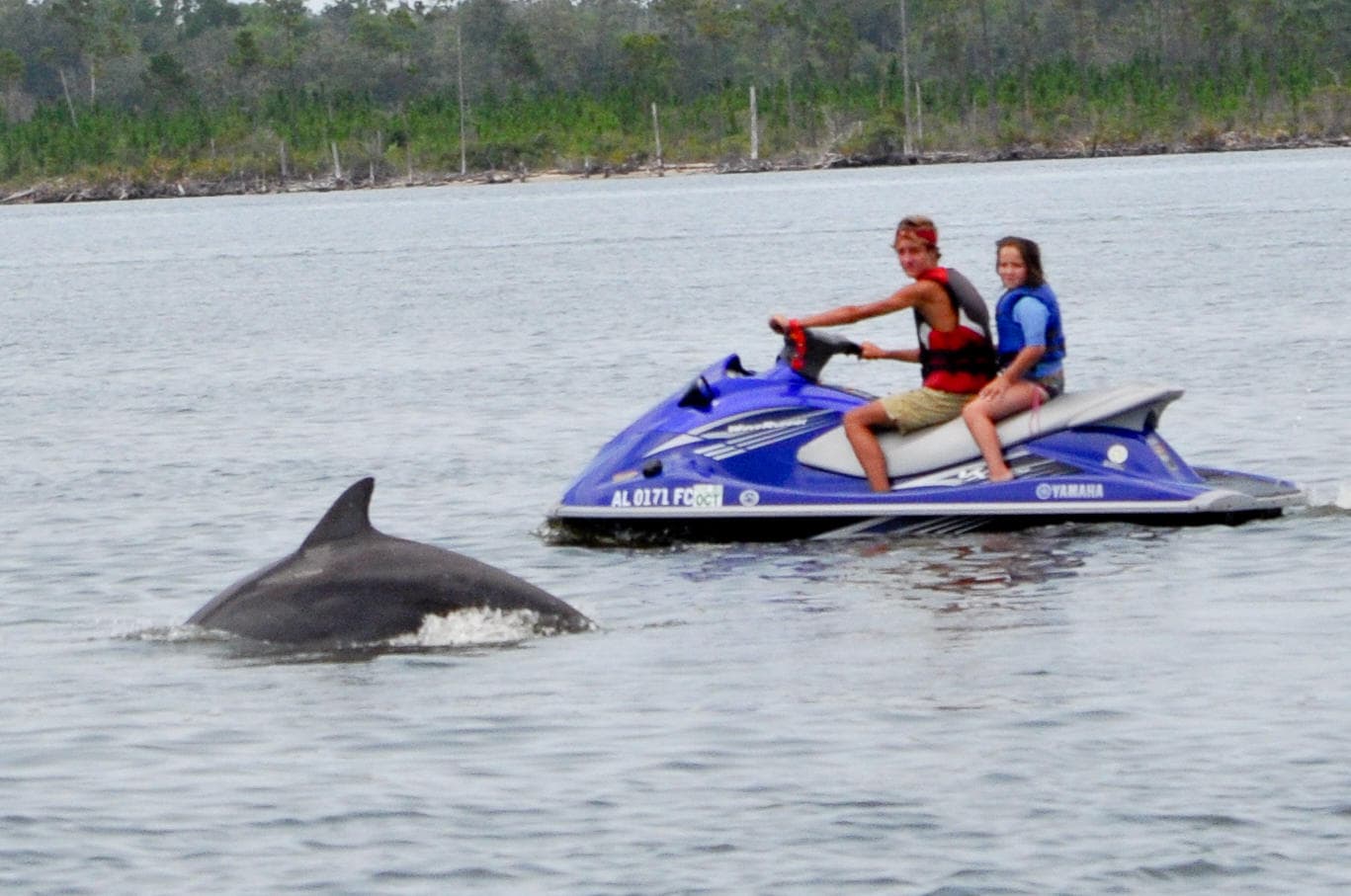 Water Activities with Barefoot Family Dolphin Tours in Florida