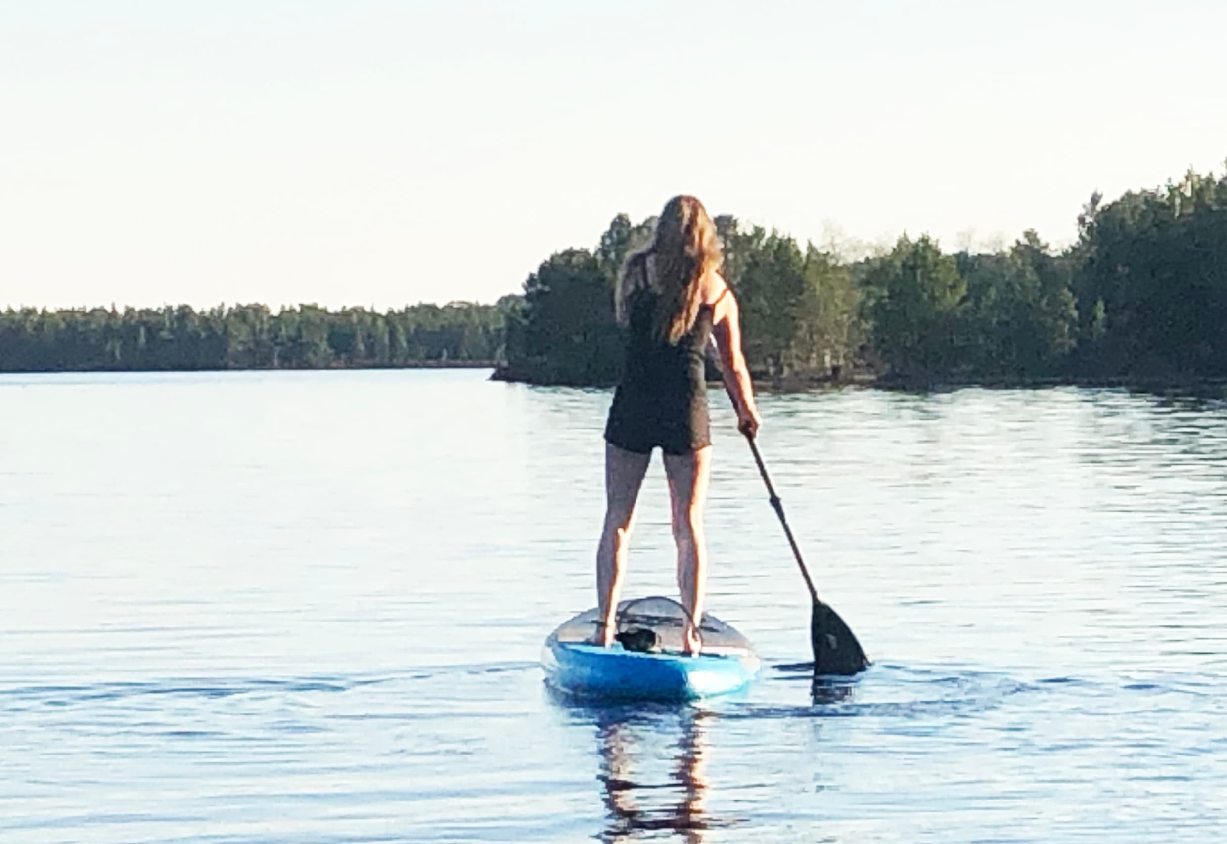 Water Activities with Hetta Huskies on Scenic Waterways