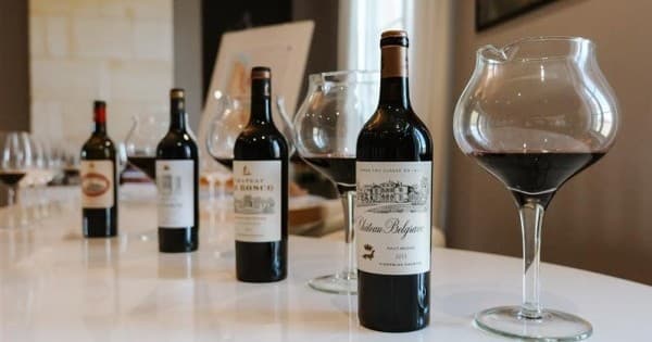 Wine & Nature: Bordeaux Château Tasting Workshop Experience