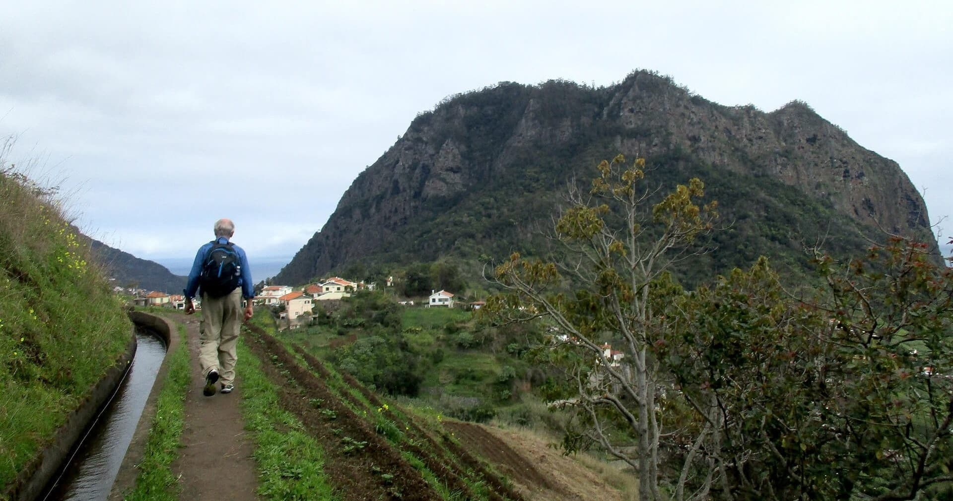 Levada da Referta Walk with Madeira Happy Tours