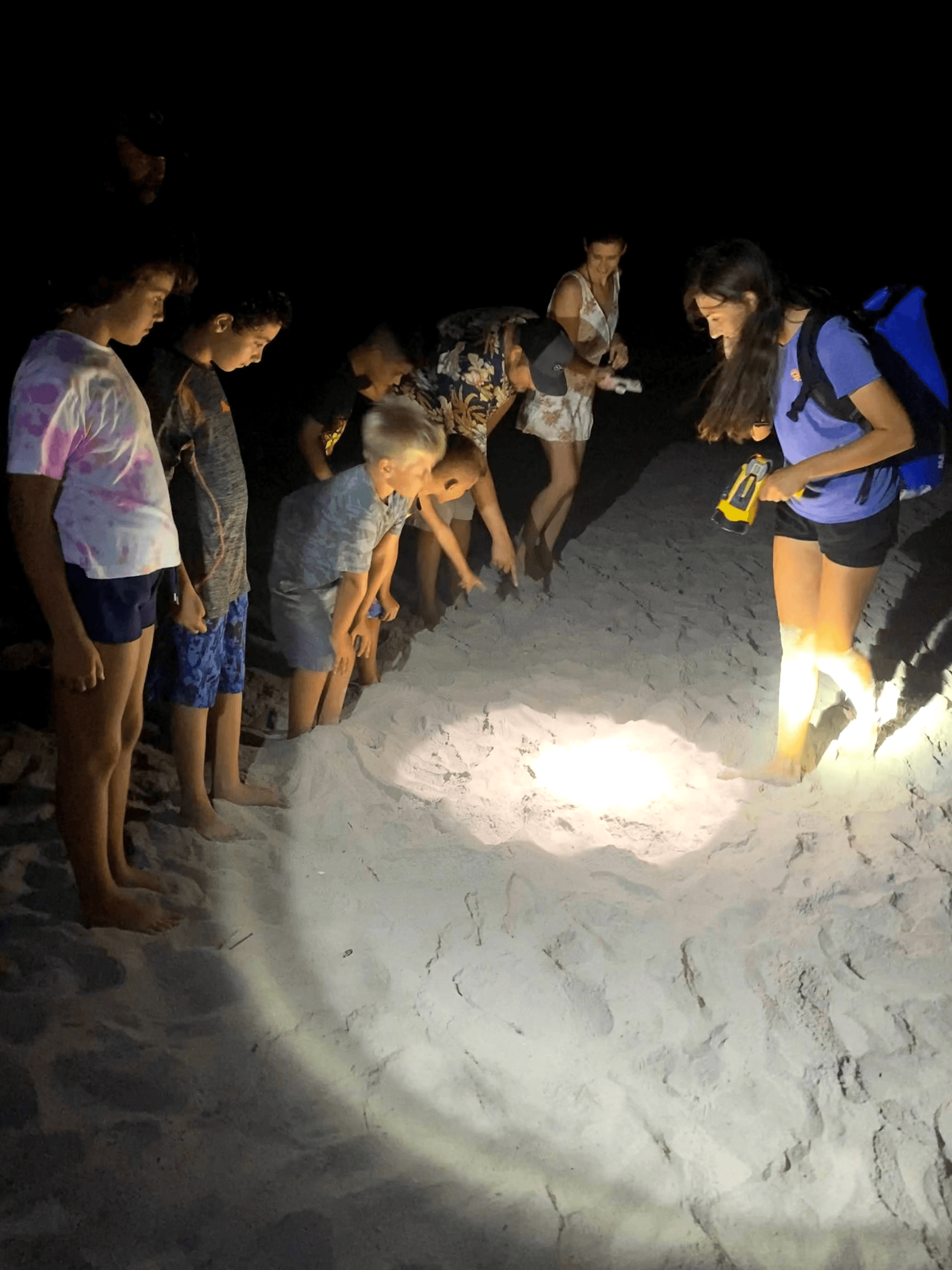 Night beach turtle walk with guide and tourists on sand
