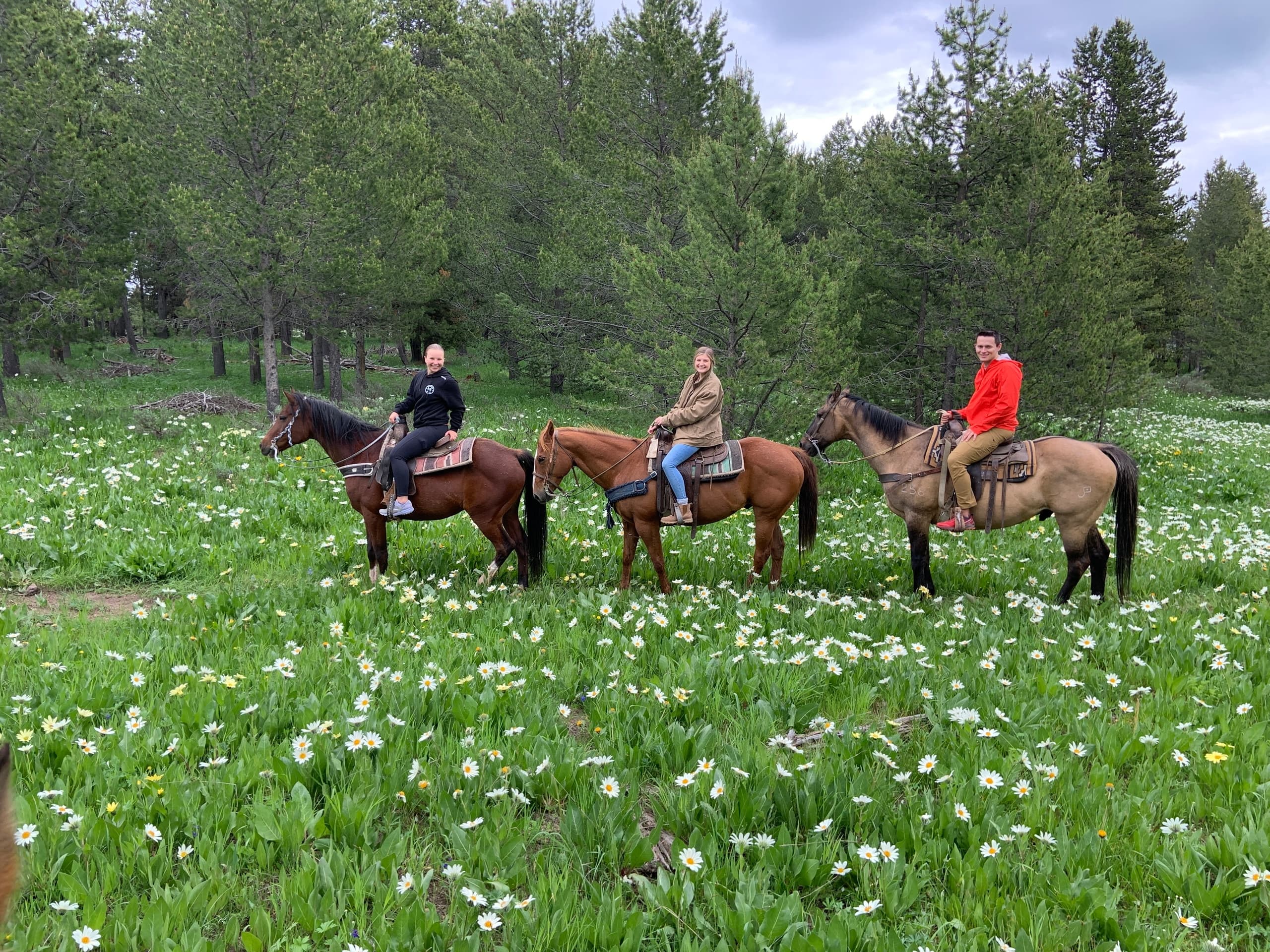 Horseback Riding at Yellowstone Horses: Scenic Trails & Serenity