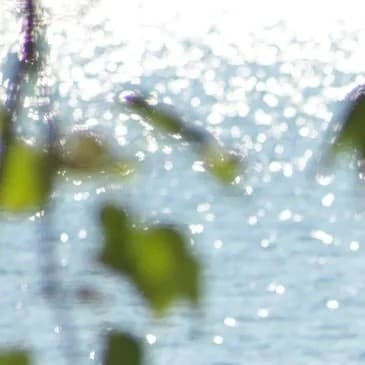 Floating Sauna Sessions on Bellingham Bay at Bellwether Dock