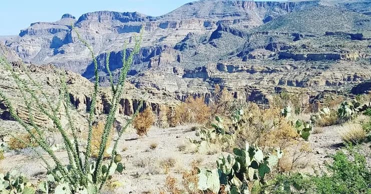 Explore the Stunning Apache Trail in Scottsdale, Arizona