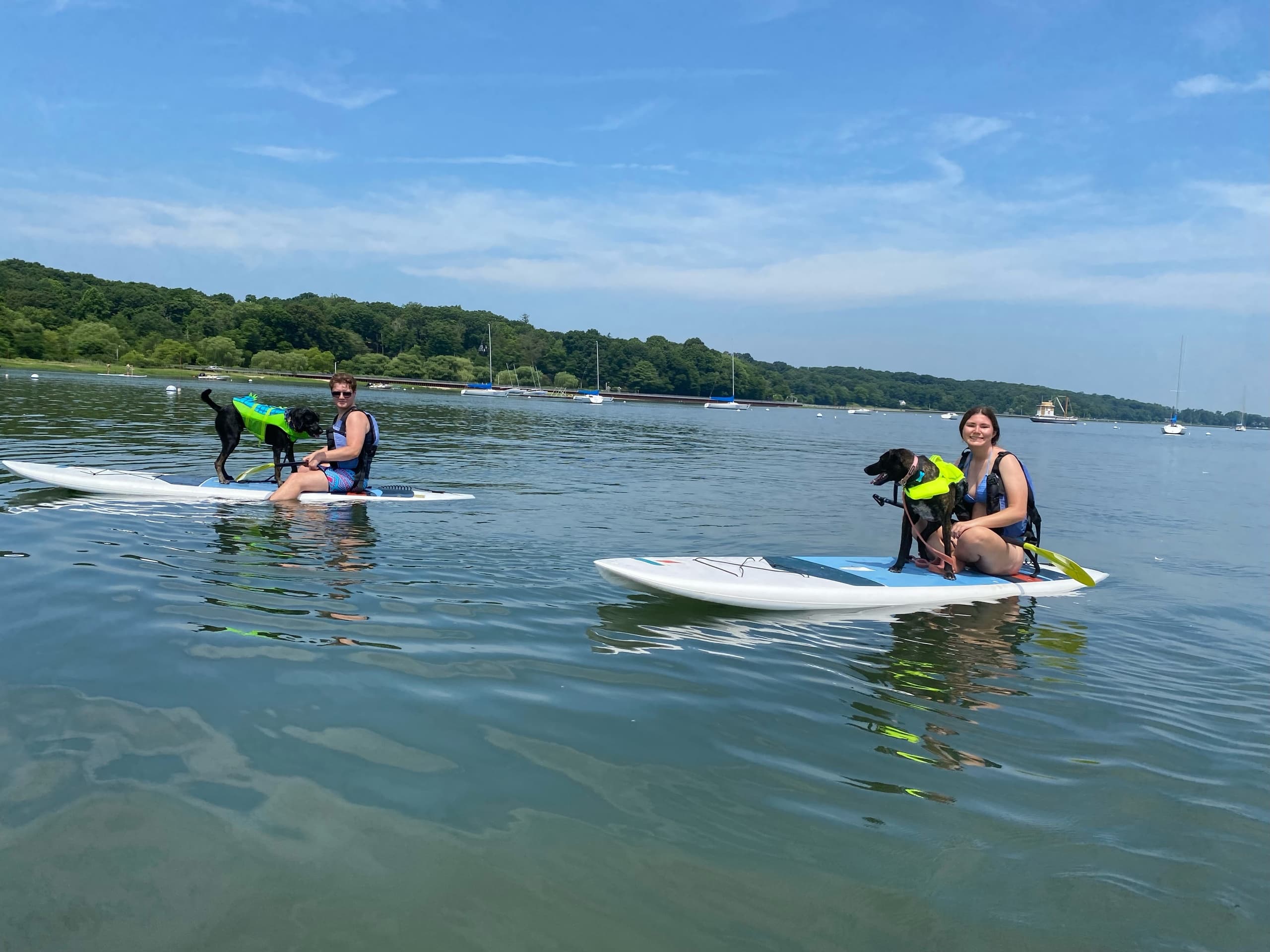 Water Activities & Puppy Paddle at The WaterFront Center