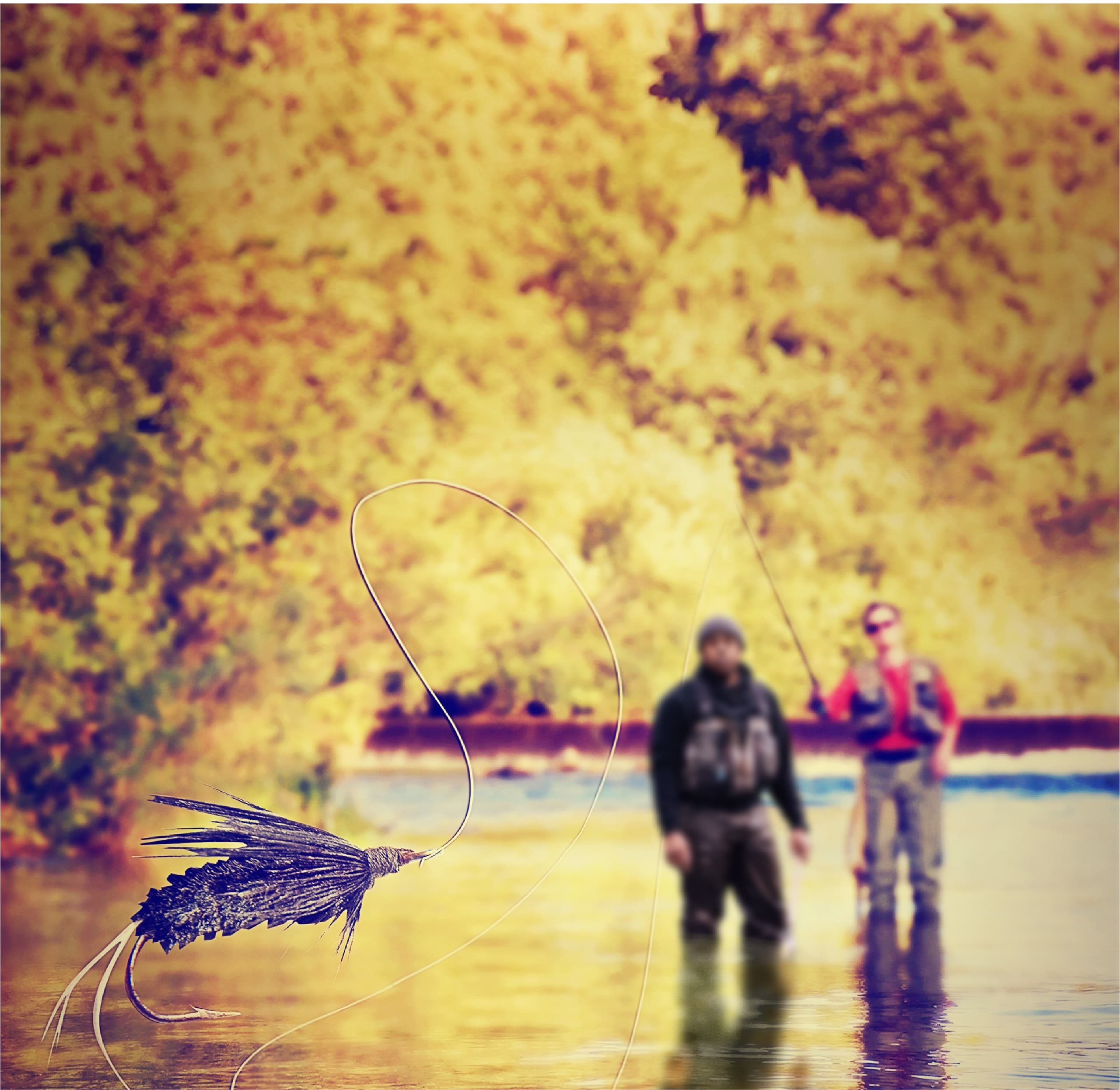 Catch of a Lifetime: Fly Fishing & Hiking in Estes Park