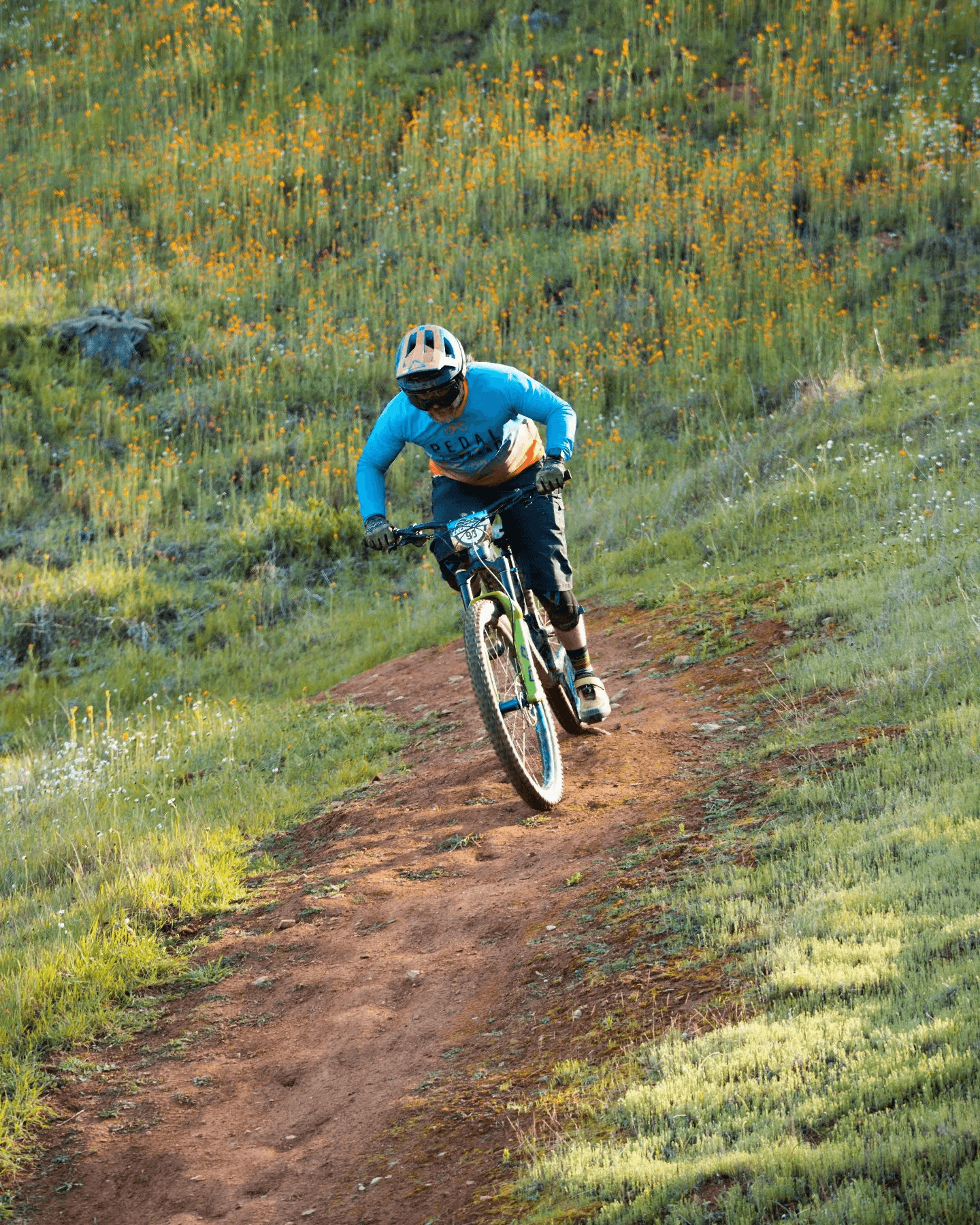 Bike Rentals in Yosemite Valley & Bass Lake | Pedal Forward Bikes