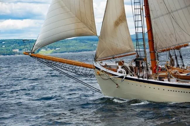 Sail the Schooner American Eagle: 4-Hour Day Sail from Rockland Harbor, Maine photo 2