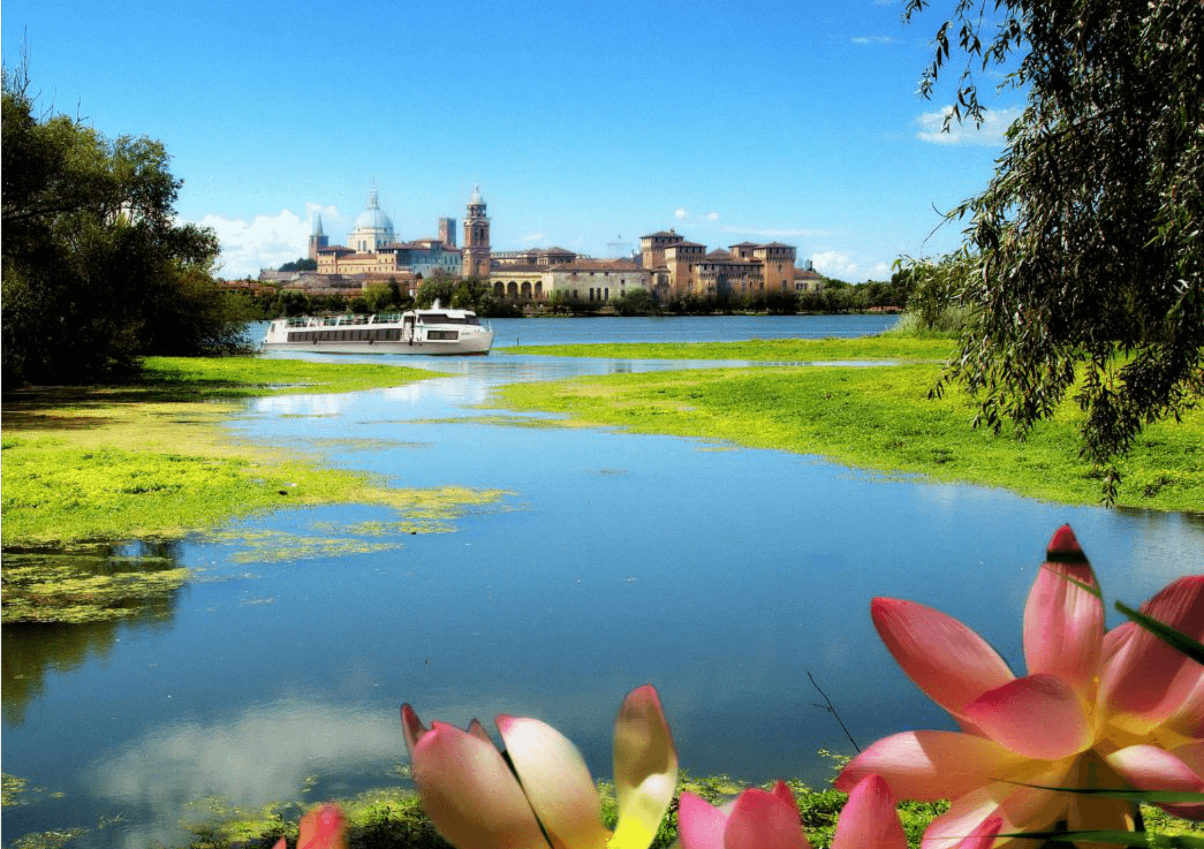 Lakeside view with blooming lotus foreground and distant city