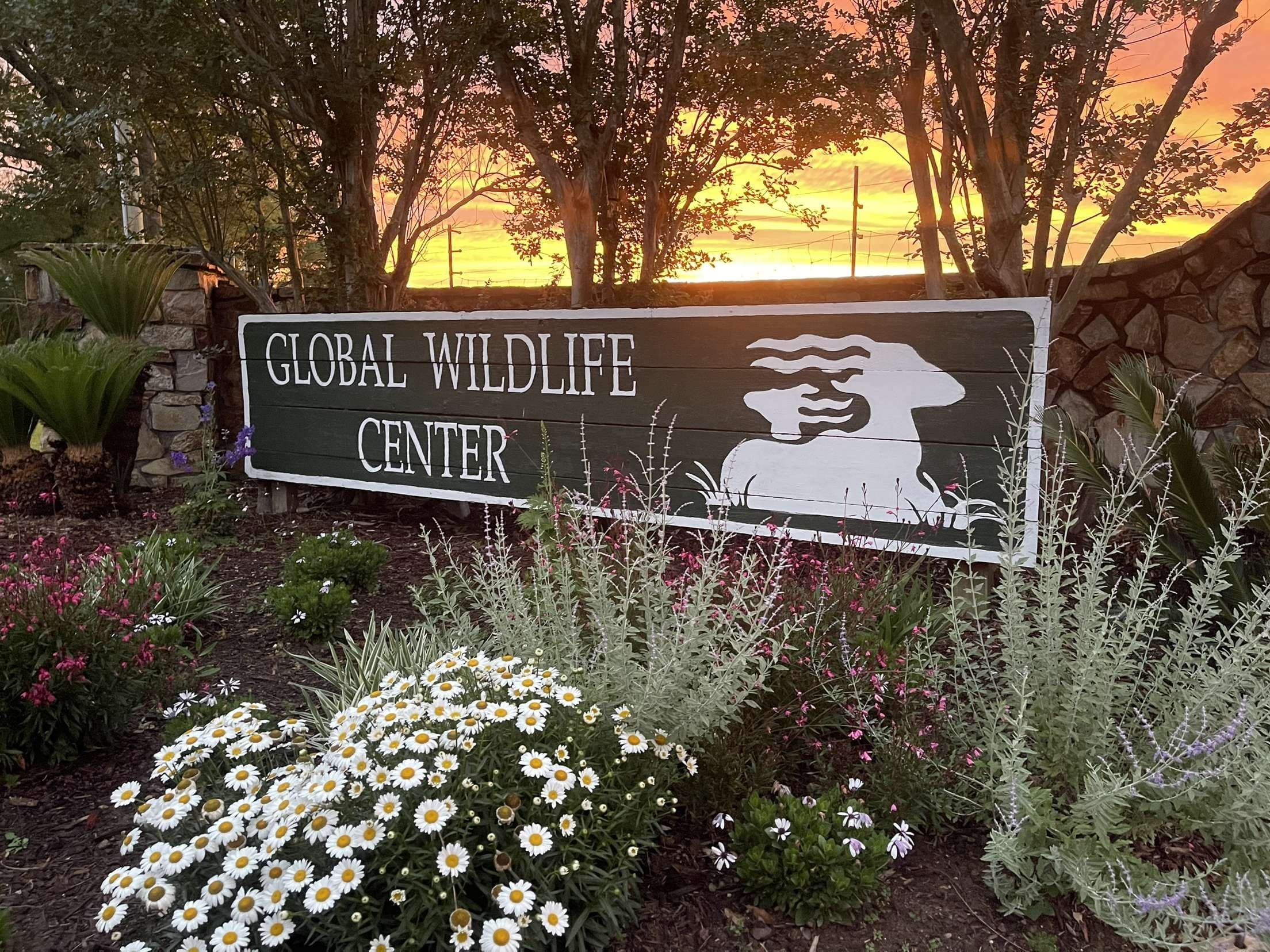 Sunset Safari and Percussion at Global Wildlife Center — 35th Anniversary Celebration