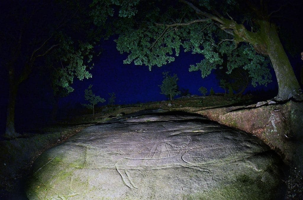 Illuminated nighttime rocky outcrop and wooded trail view
