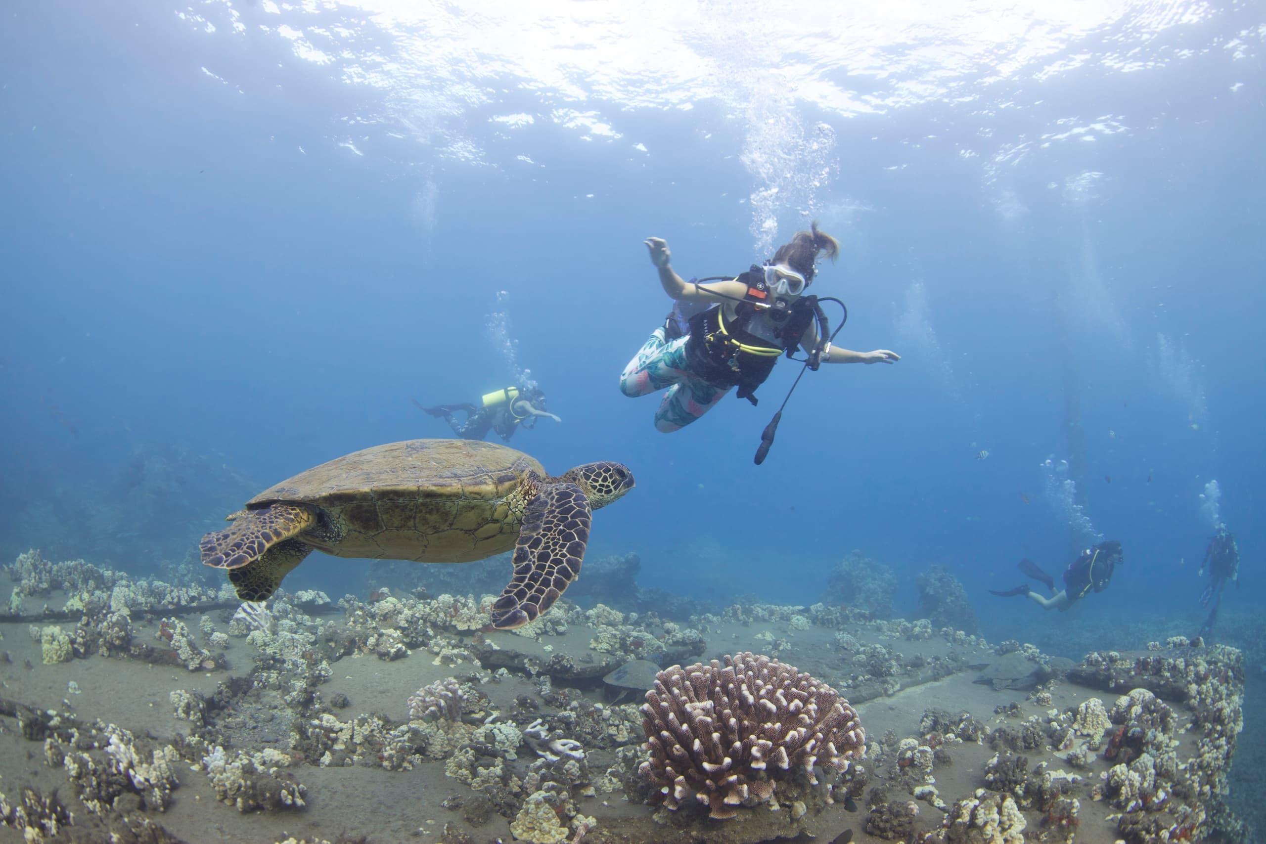 Discover Scuba from Shore in Lahaina: Your Gateway to Maui’s Underwater World