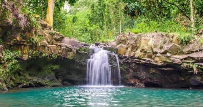 Tropical waterfall cascading into turquoise pool in Maui rainforest
