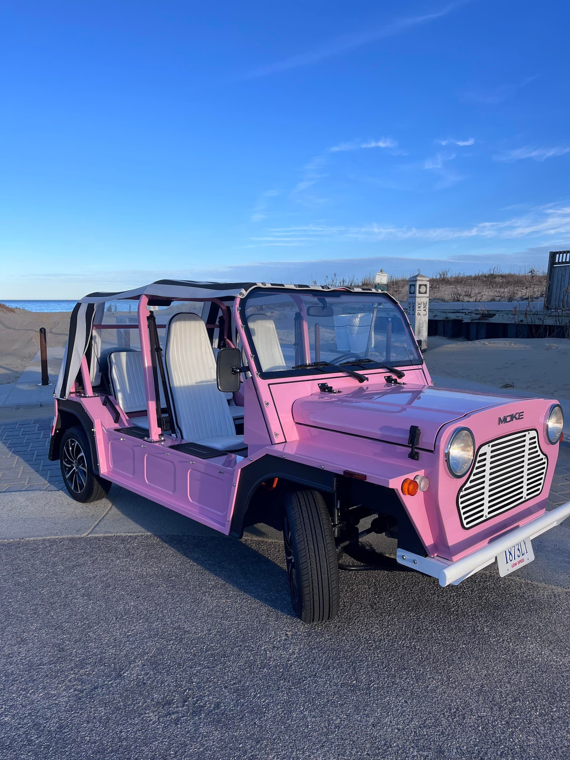 Land Adventures with Sandbridge Rentals LLC: Pink Jeep Tours