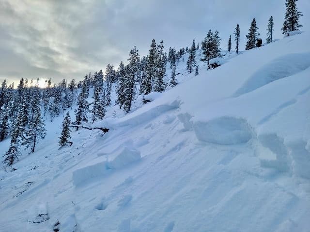 Playwest Avalanche Skills Training (AST-1) in Kimberley’s Purcell Mountains