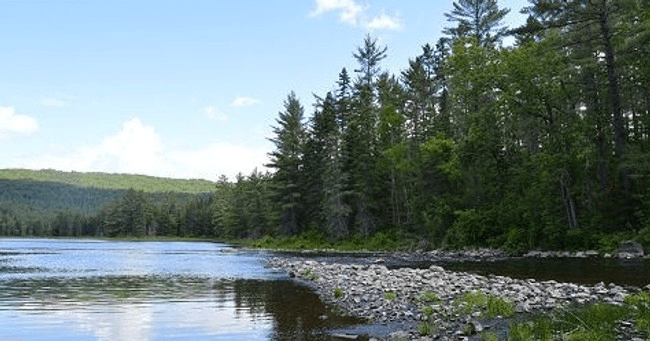 Water Activities & Camping at Kiosk Campground with Algonquin North Wilderness Outfitter