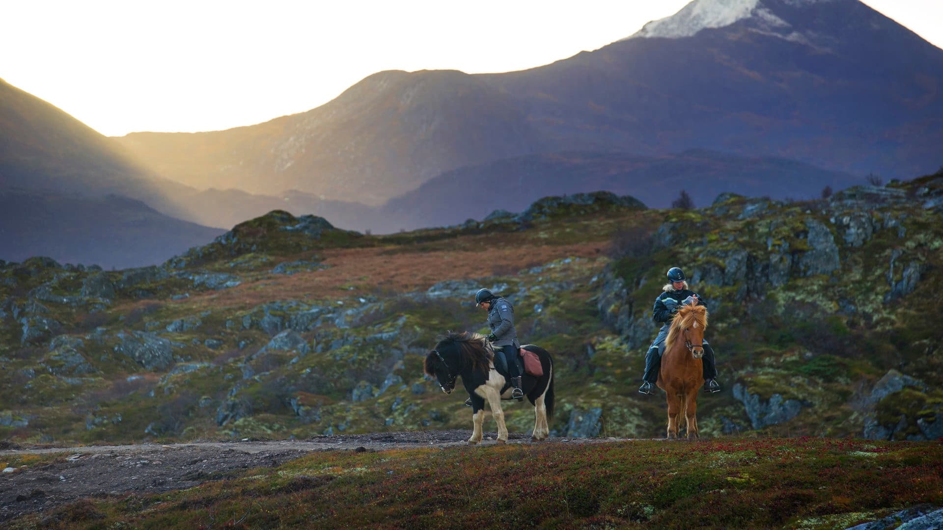 Trail horseback riding across coastal mountains and fjords