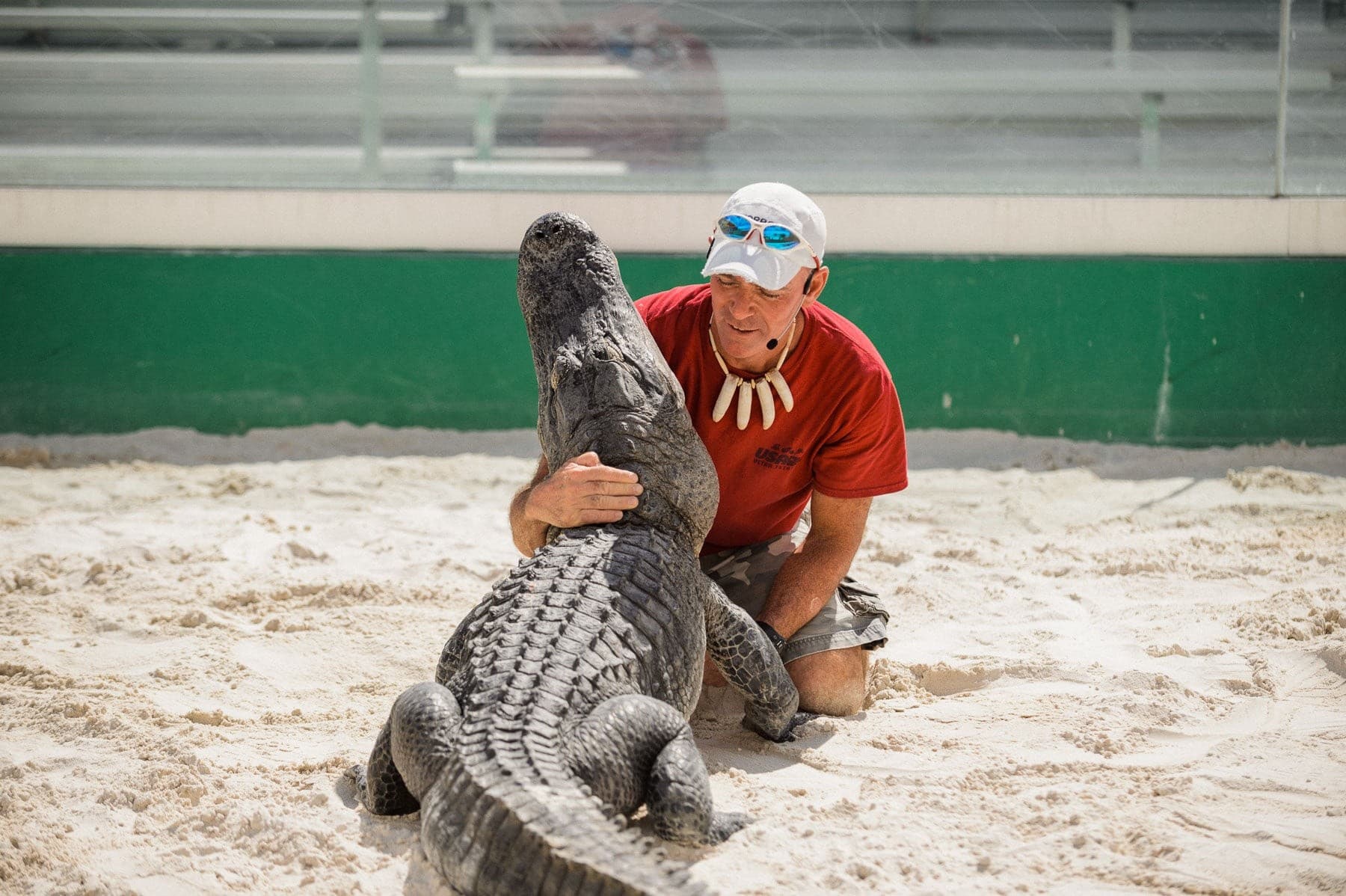 Thunder Through the Glades: 60-Minute Private Everglades Airboat Tours from Fort Lauderdale photo 2
