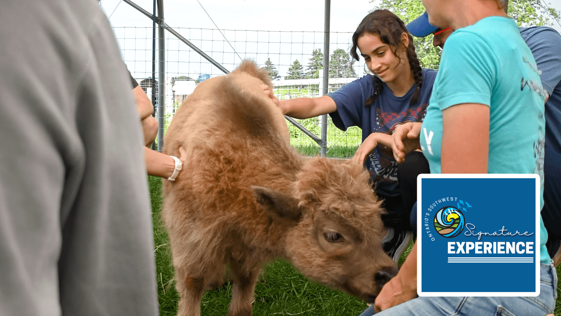 Farm Experiences & Goat Milk Ice Cream at Udderly Ridiculous
