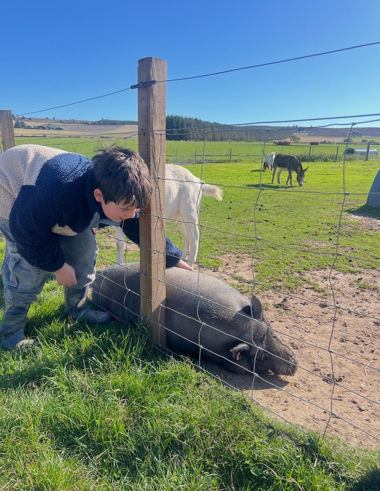 Muddy Explorers Winter POP UP: Hands-On Farm Adventures for Kids in Inverarity, Scotland