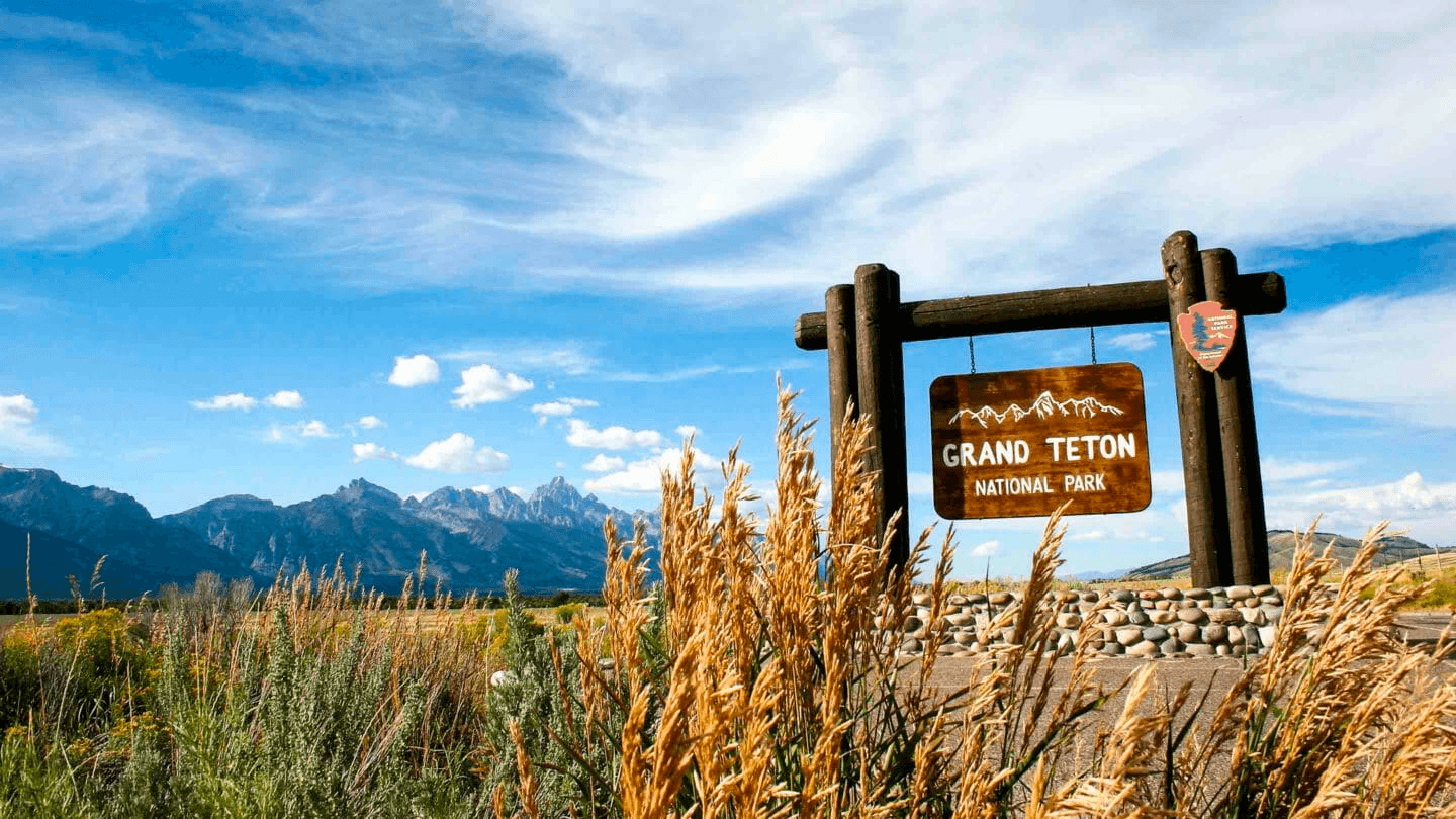 Wildlife Safari by Jackson Hole Wildlife Safaris in Teton Village