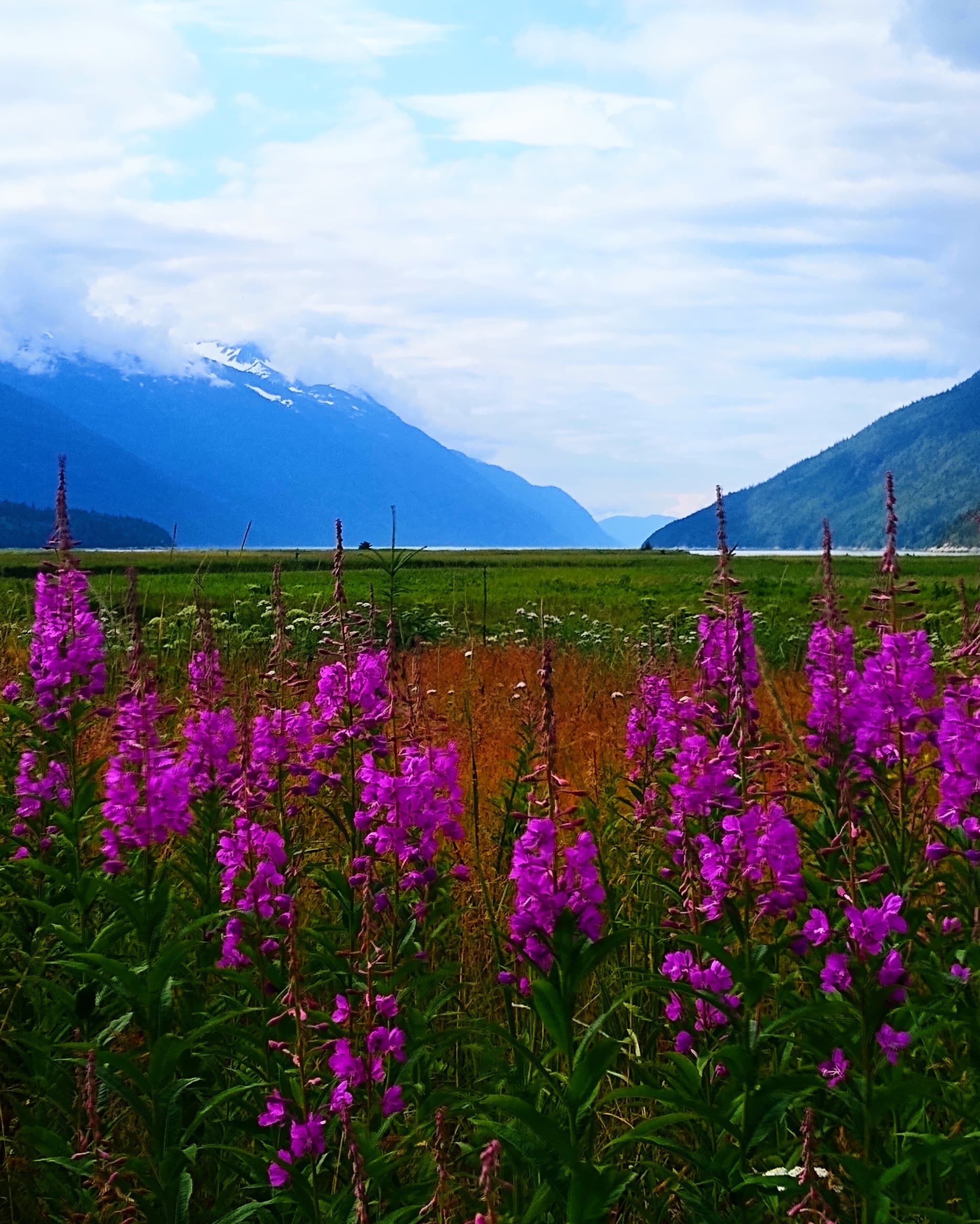 Land Adventures in Skagway with Seek the Summit/Discover Dyea