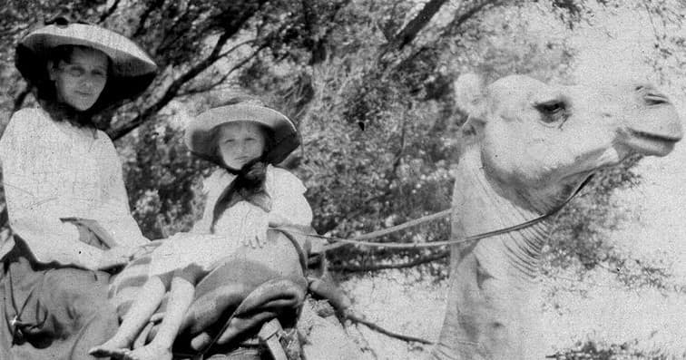 Children on camel ride in outdoor arid landscape, family adventure