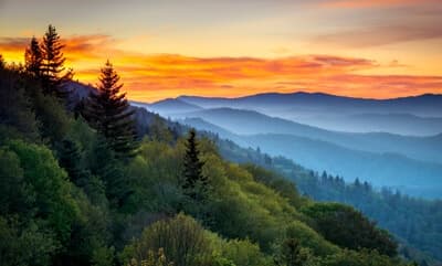 American UTV Rentals: Off-Road Adventures in Pigeon Forge