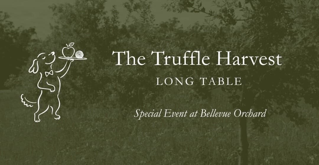 Long Table Truffle Lunch at Bellevue Orchard — Truffle & Cider Tasting in Officer, Victoria