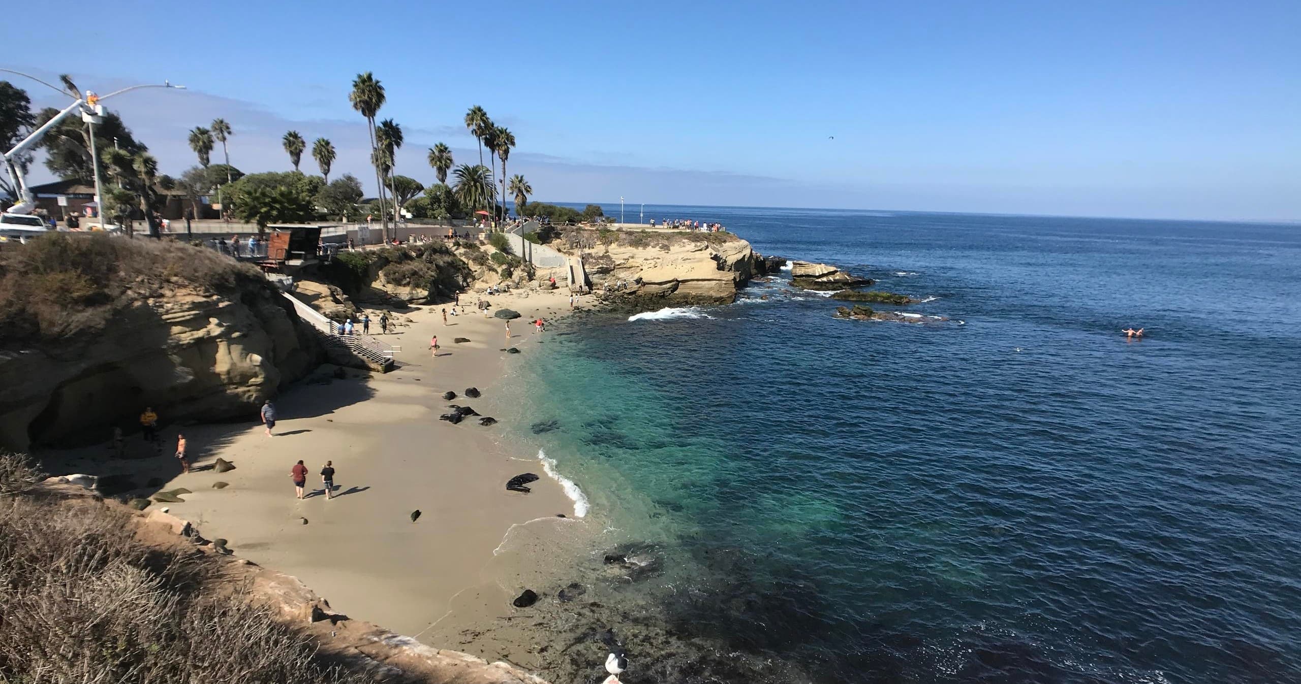 Scuba in Del Mar, California