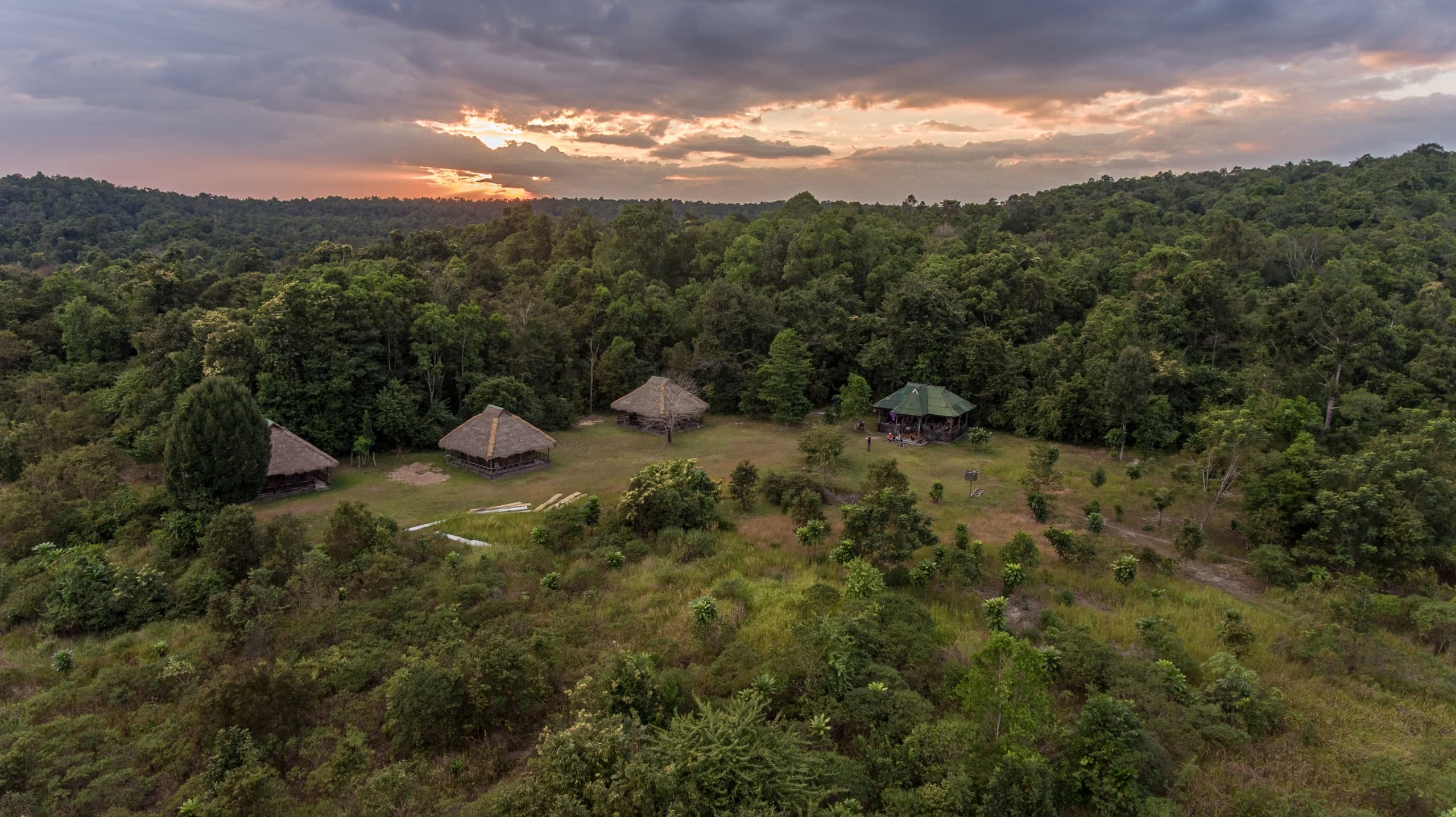 Aerial view of jungle camp and thatched huts at sunset in rainforest