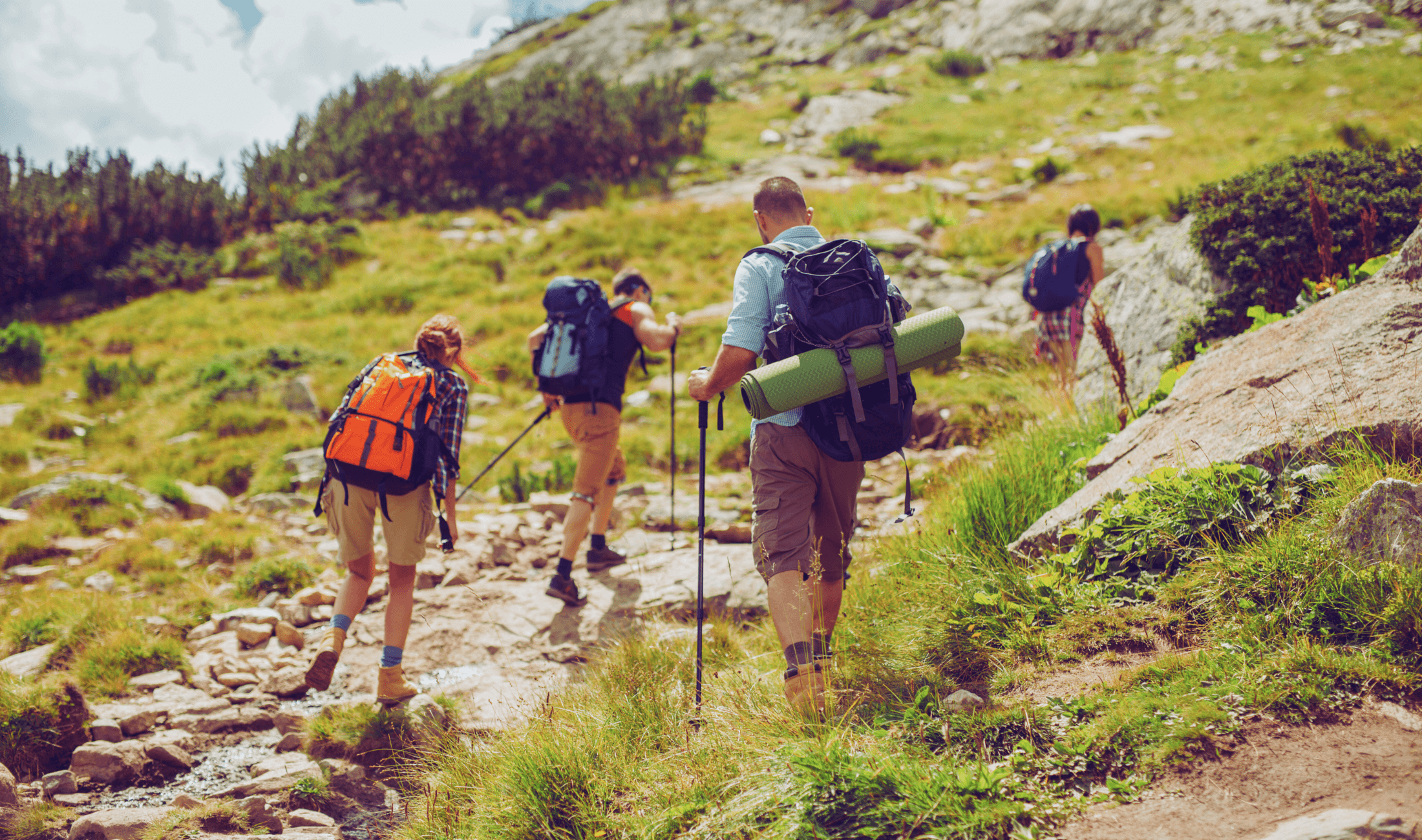 Easy Hiking Adventures with Hooked on Lofoten in Kabelvåg photo 1