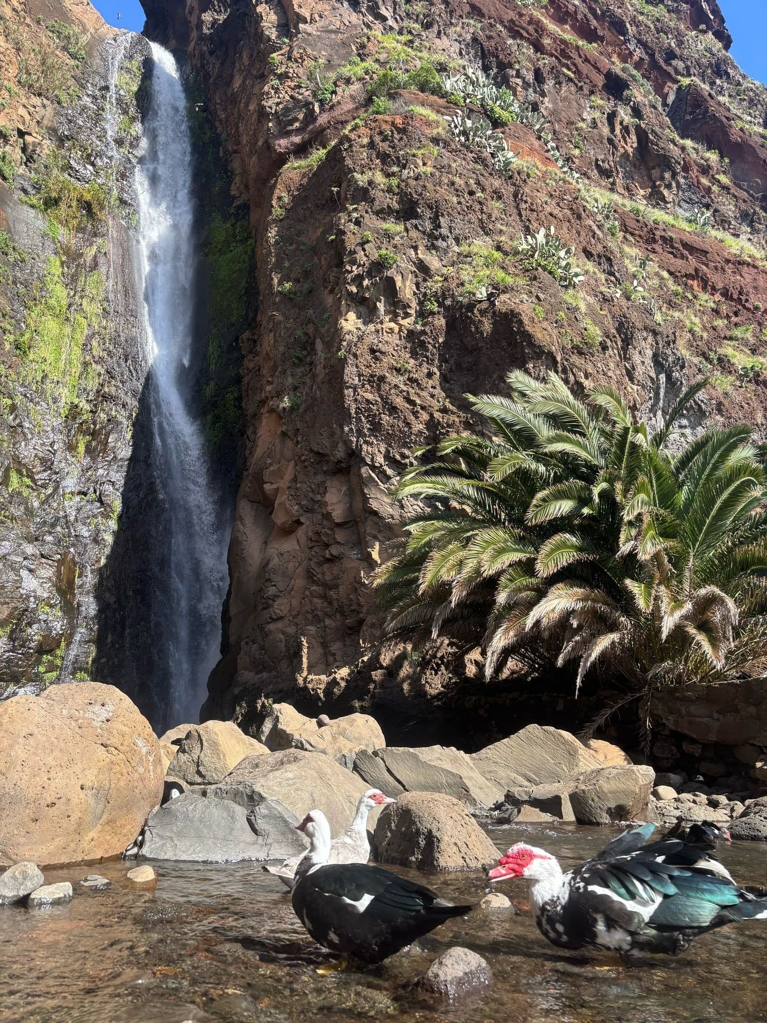Customize Your Perfect Day in Funchal: Private 8-Hour Madeira Tour