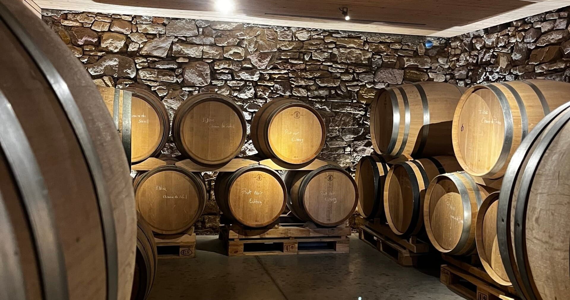 Wine & Culinary Adventure at Alsace Vineyard