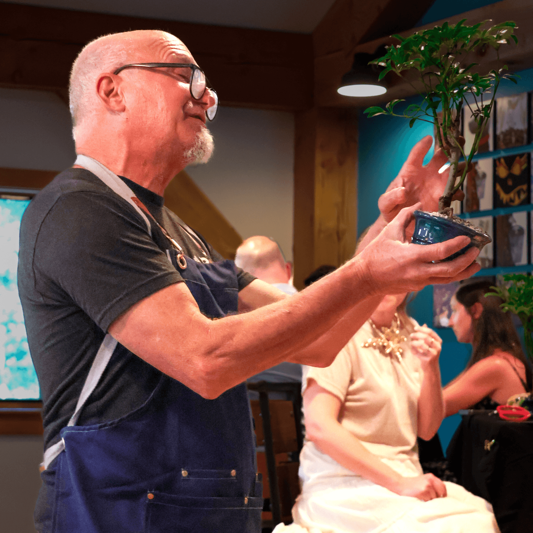 Bonsai Bar at Three Danes Wellness — Hands-On Bonsai Workshop in Mine Hill, NJ