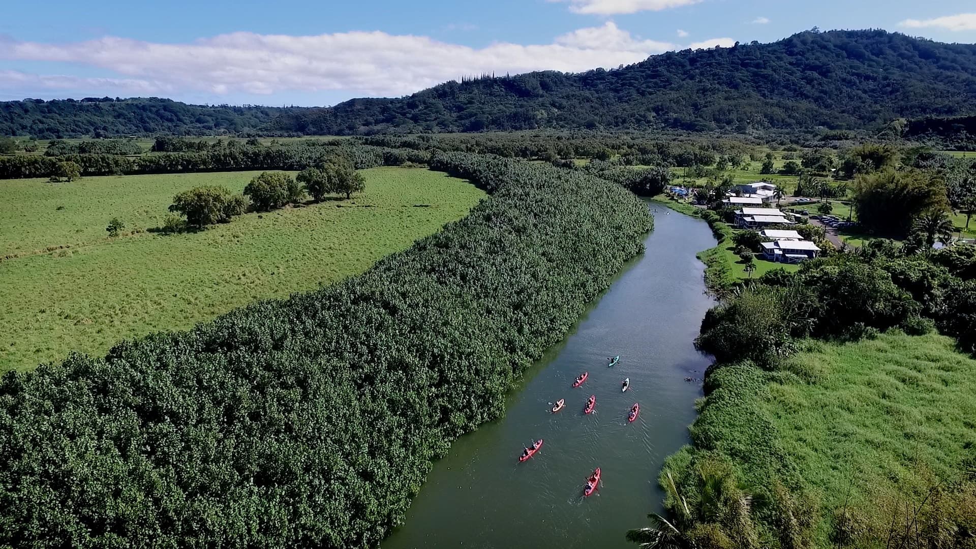 Kayak & Snorkeling Tours on Kauai’s Hanalei River photo 1